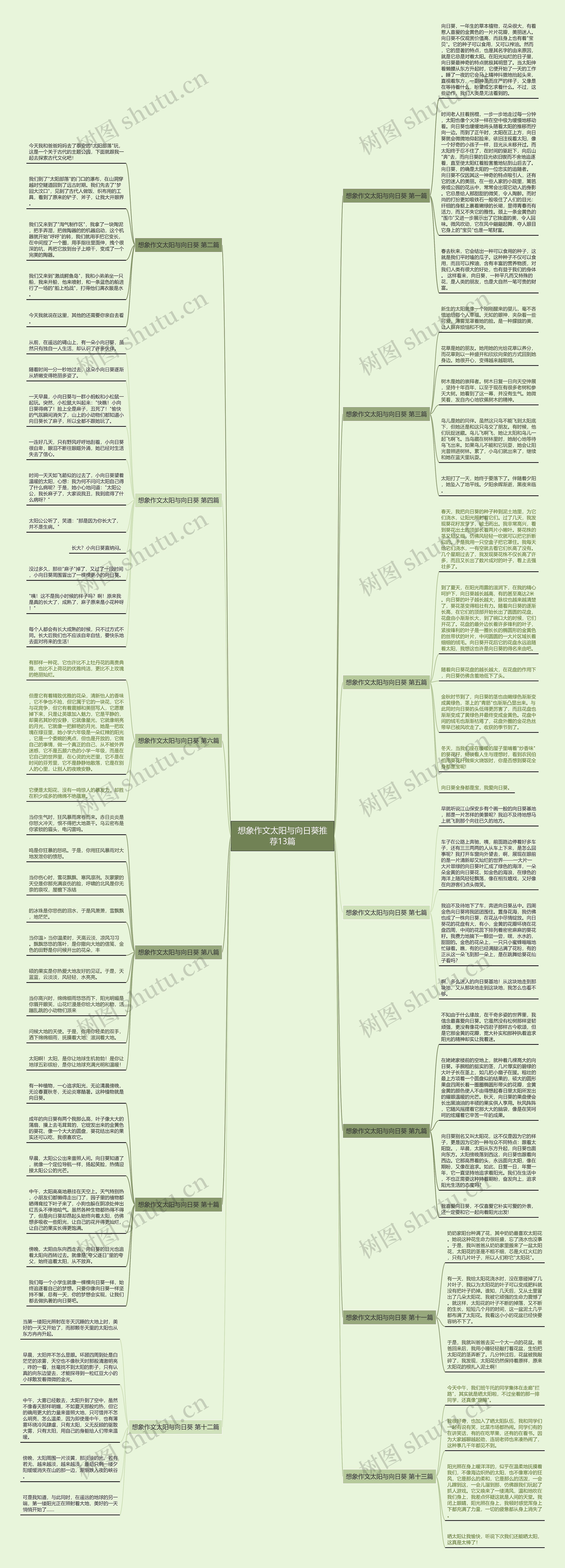 想象作文太阳与向日葵推荐13篇