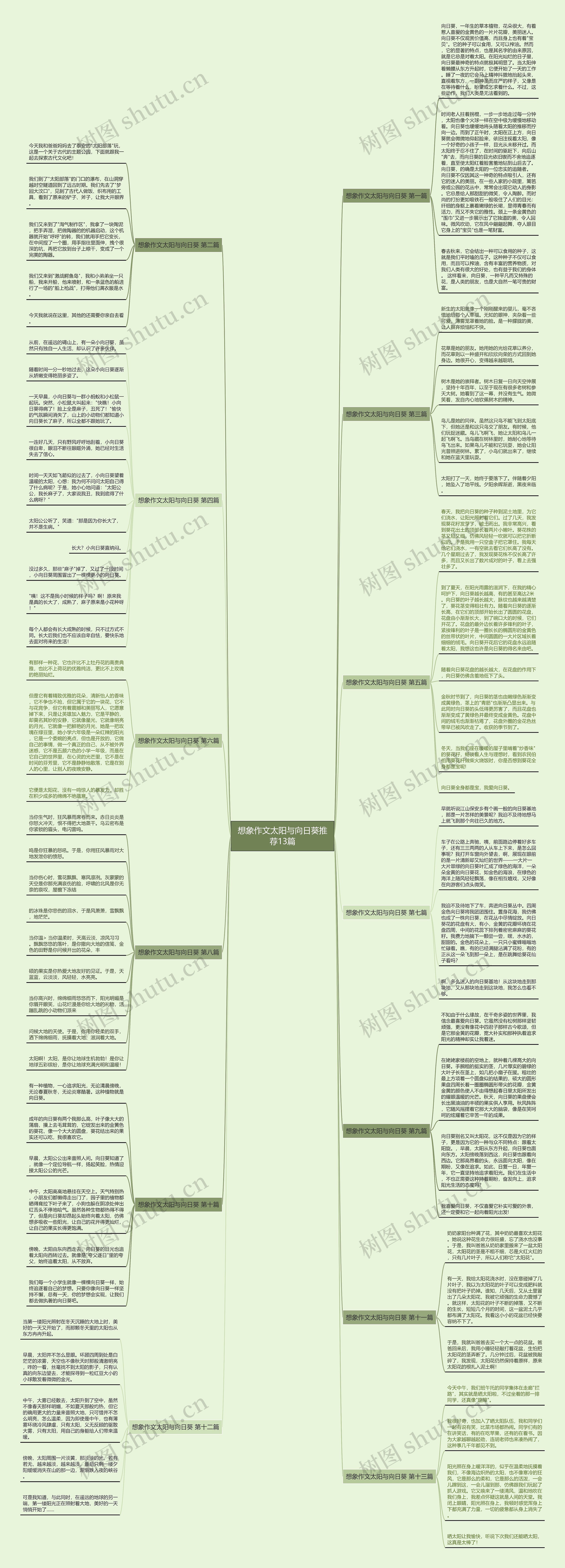 想象作文太阳与向日葵推荐13篇 想象作文太阳与向日葵推荐13篇