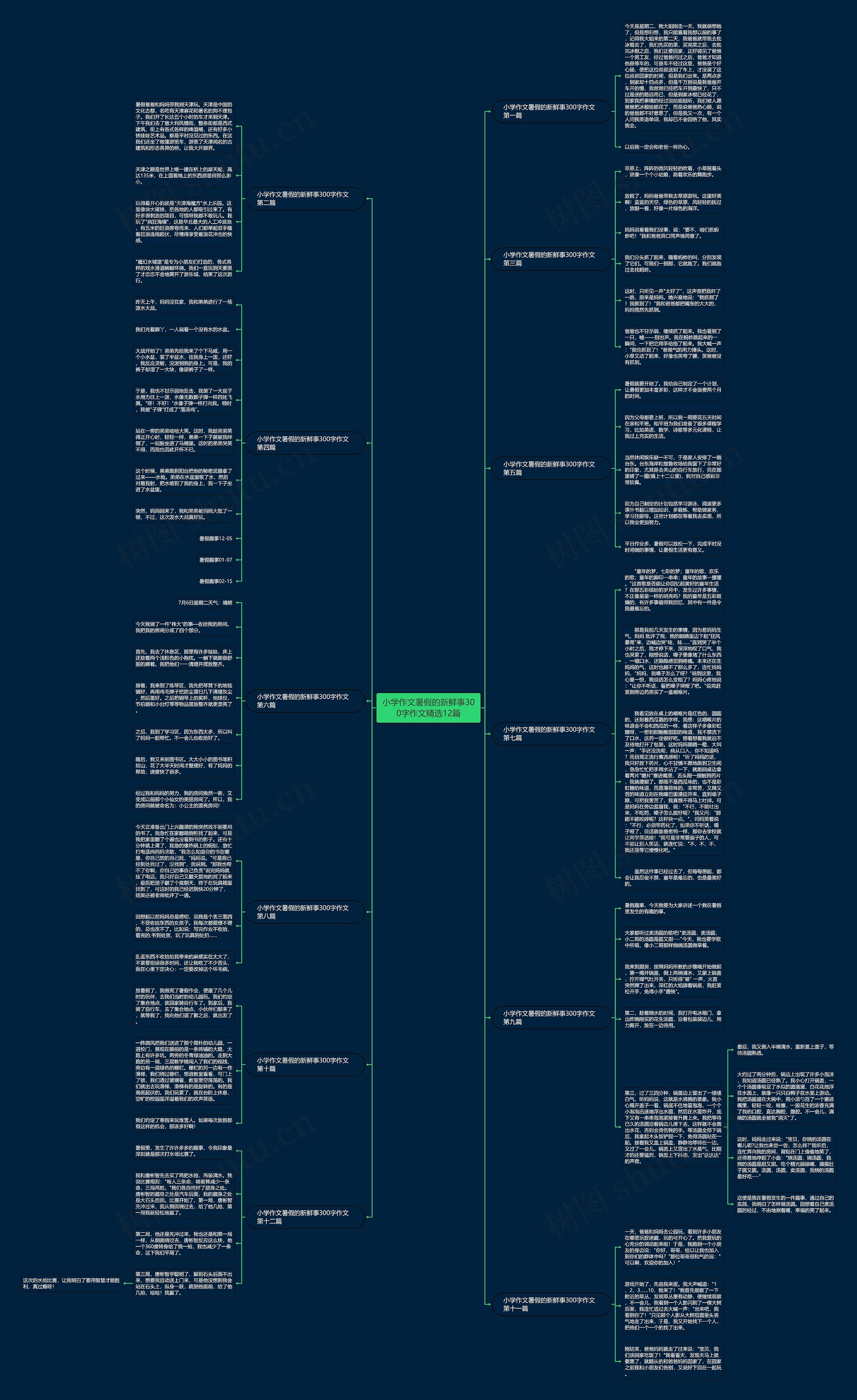 小学作文暑假的新鲜事300字作文精选12篇思维导图