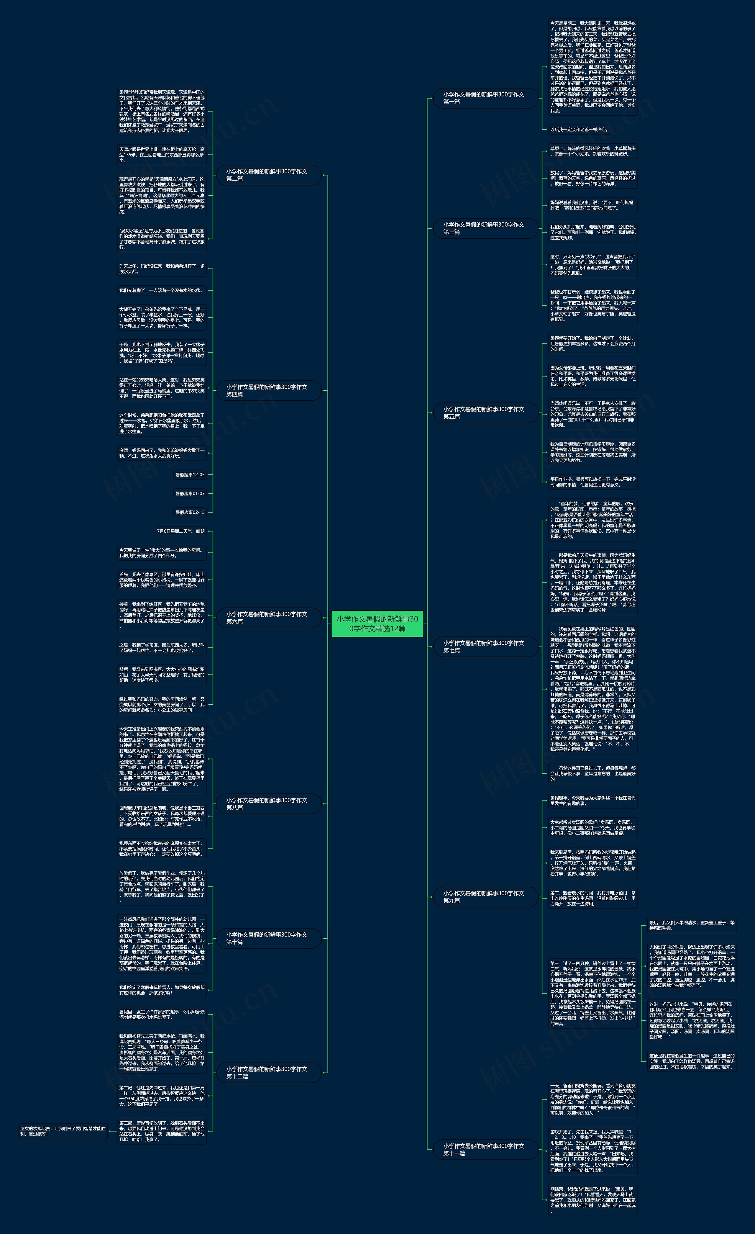 小学作文暑假的新鲜事300字作文精选12篇 小学作文暑假的新鲜事300字作文精选12篇