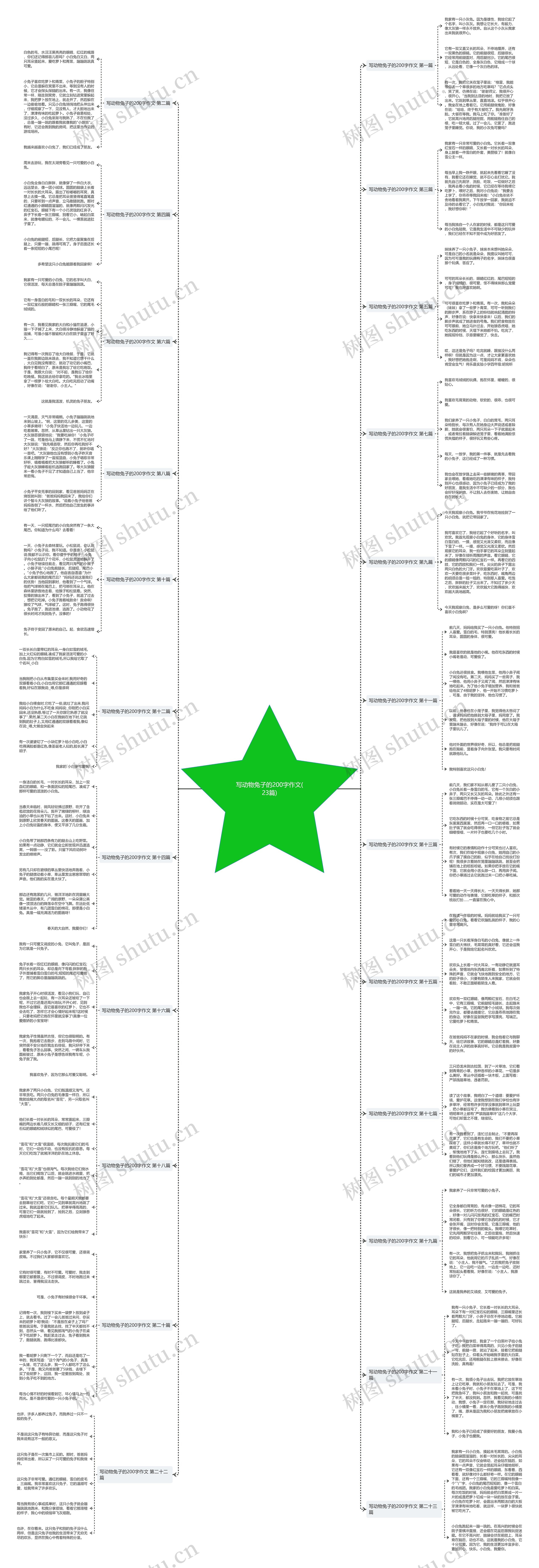 写动物兔子的200字作文(23篇)思维导图