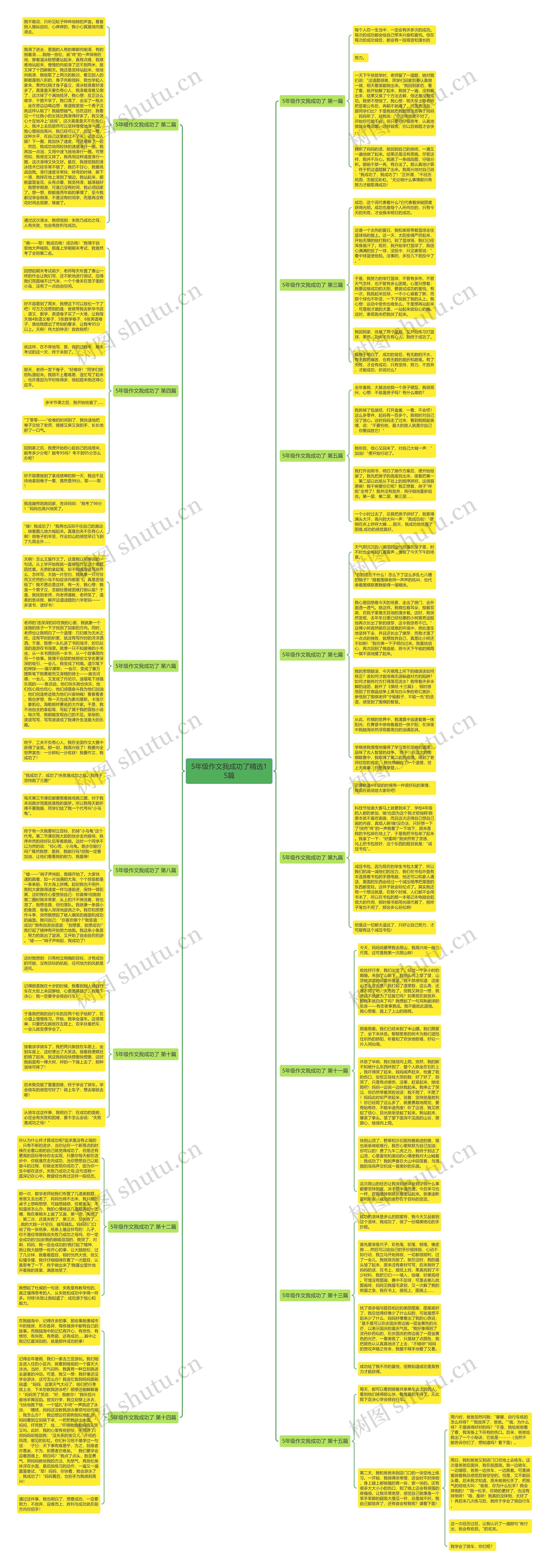 5年级作文我成功了精选15篇思维导图