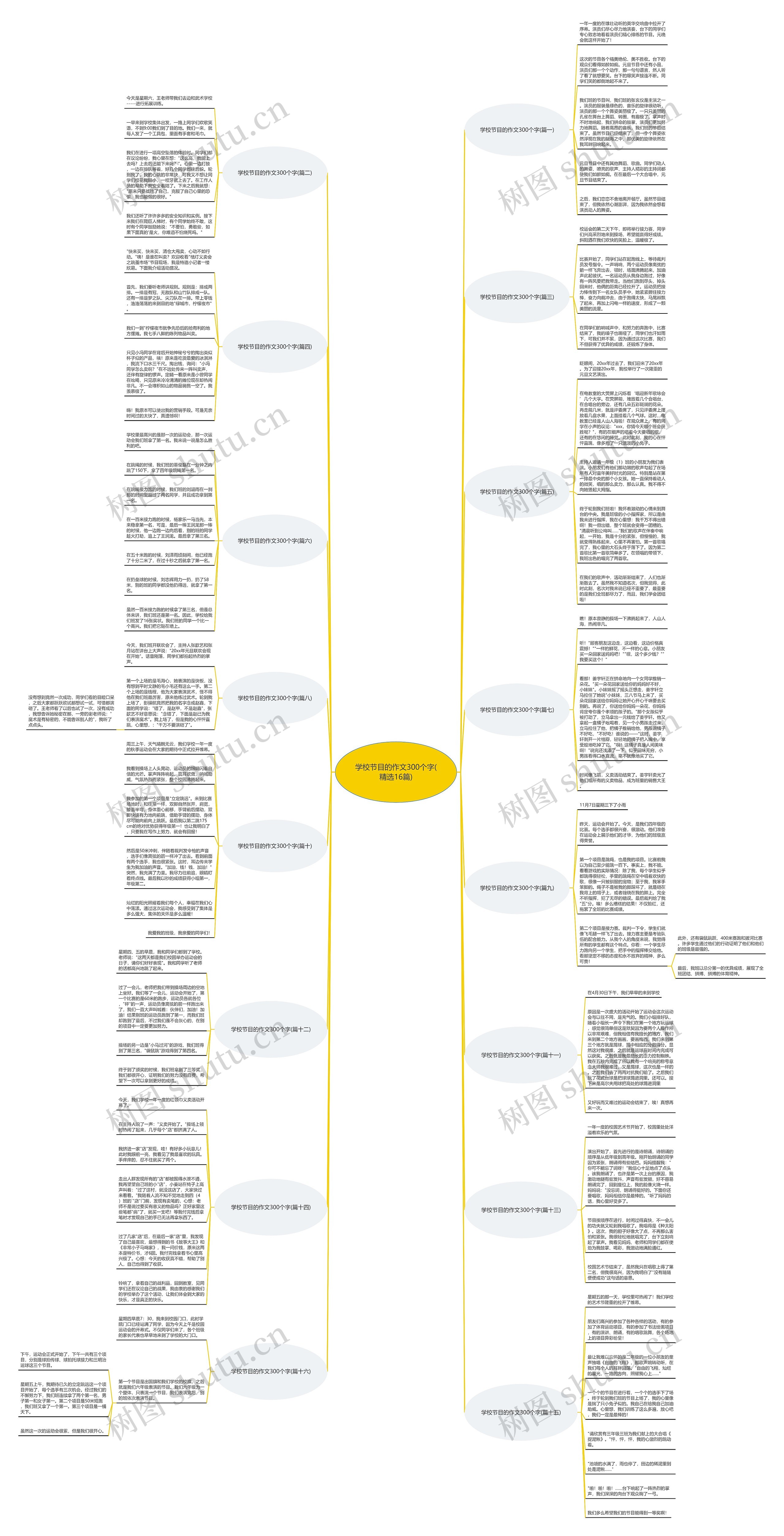 学校节目的作文300个字(精选16篇)思维导图