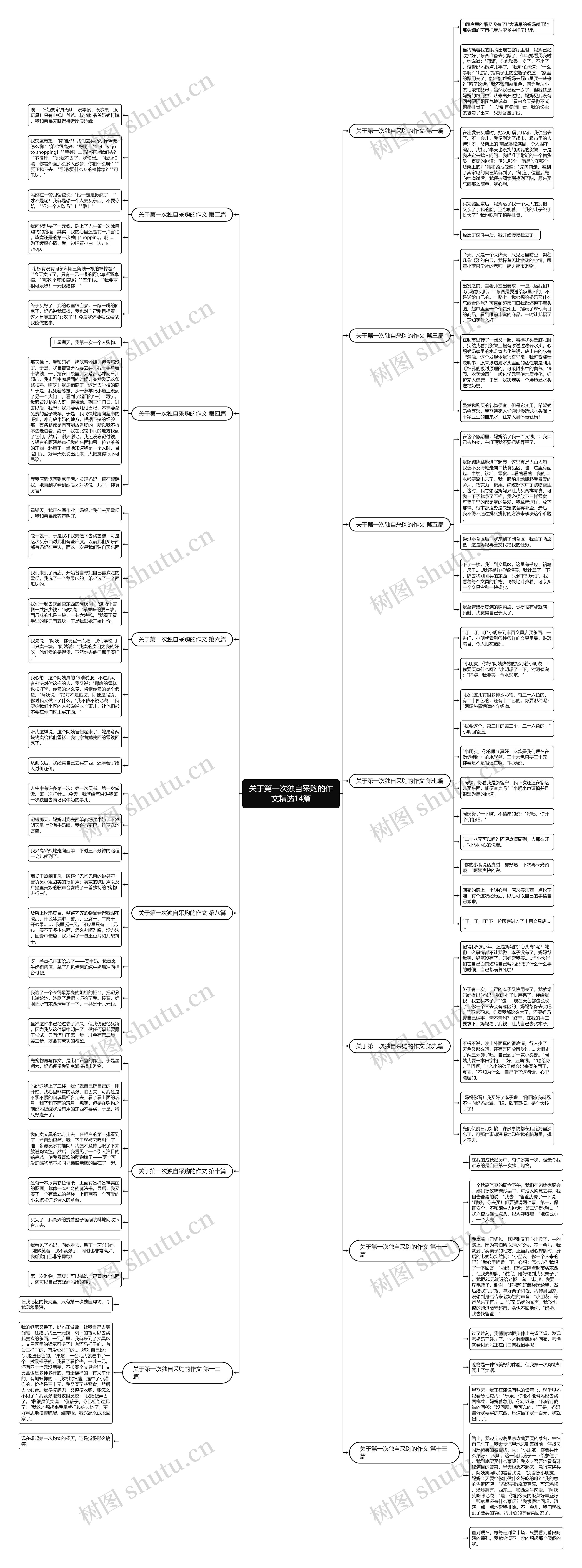 关于第一次独自采购的作文精选14篇思维导图