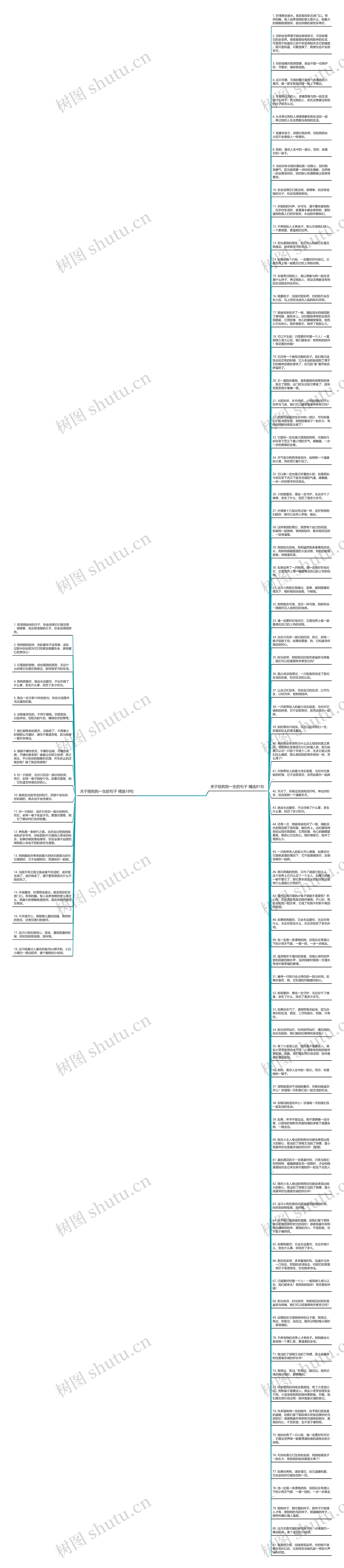关于陪狗狗一生的句子精选99句思维导图