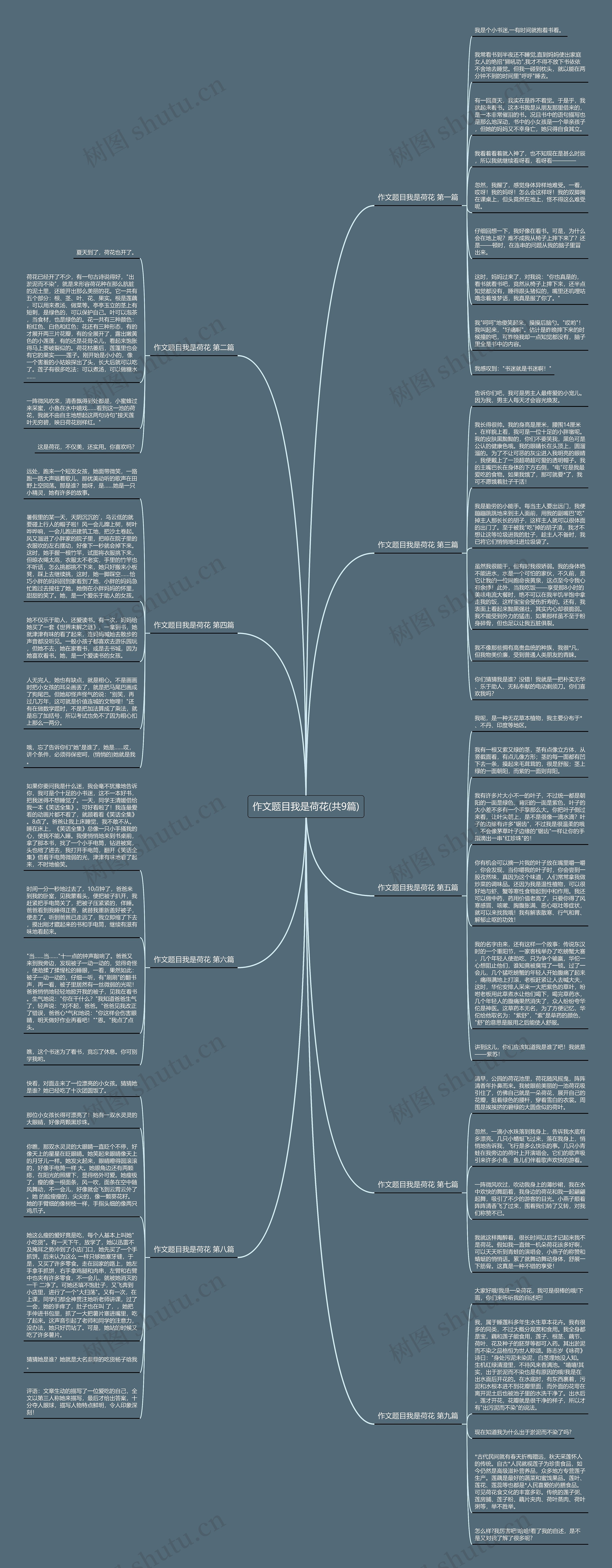 作文题目我是荷花(共9篇)思维导图
