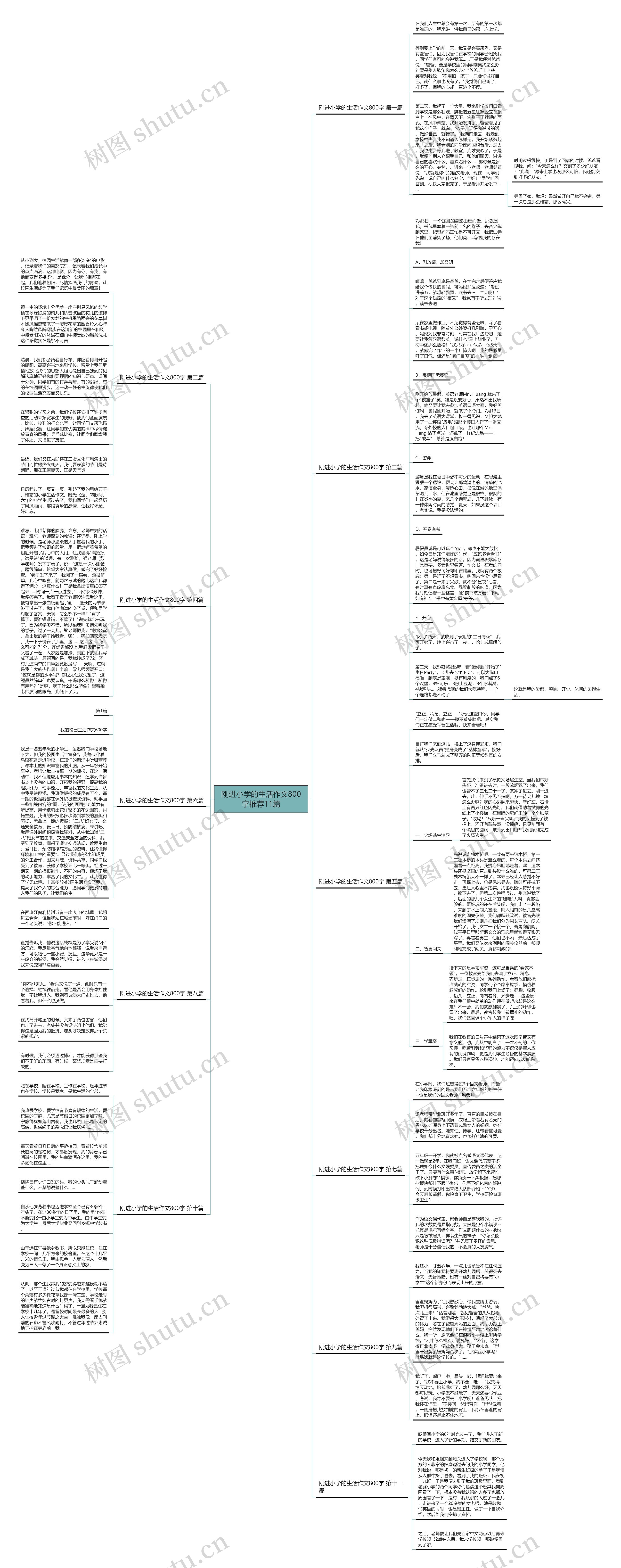 刚进小学的生活作文800字推荐11篇思维导图