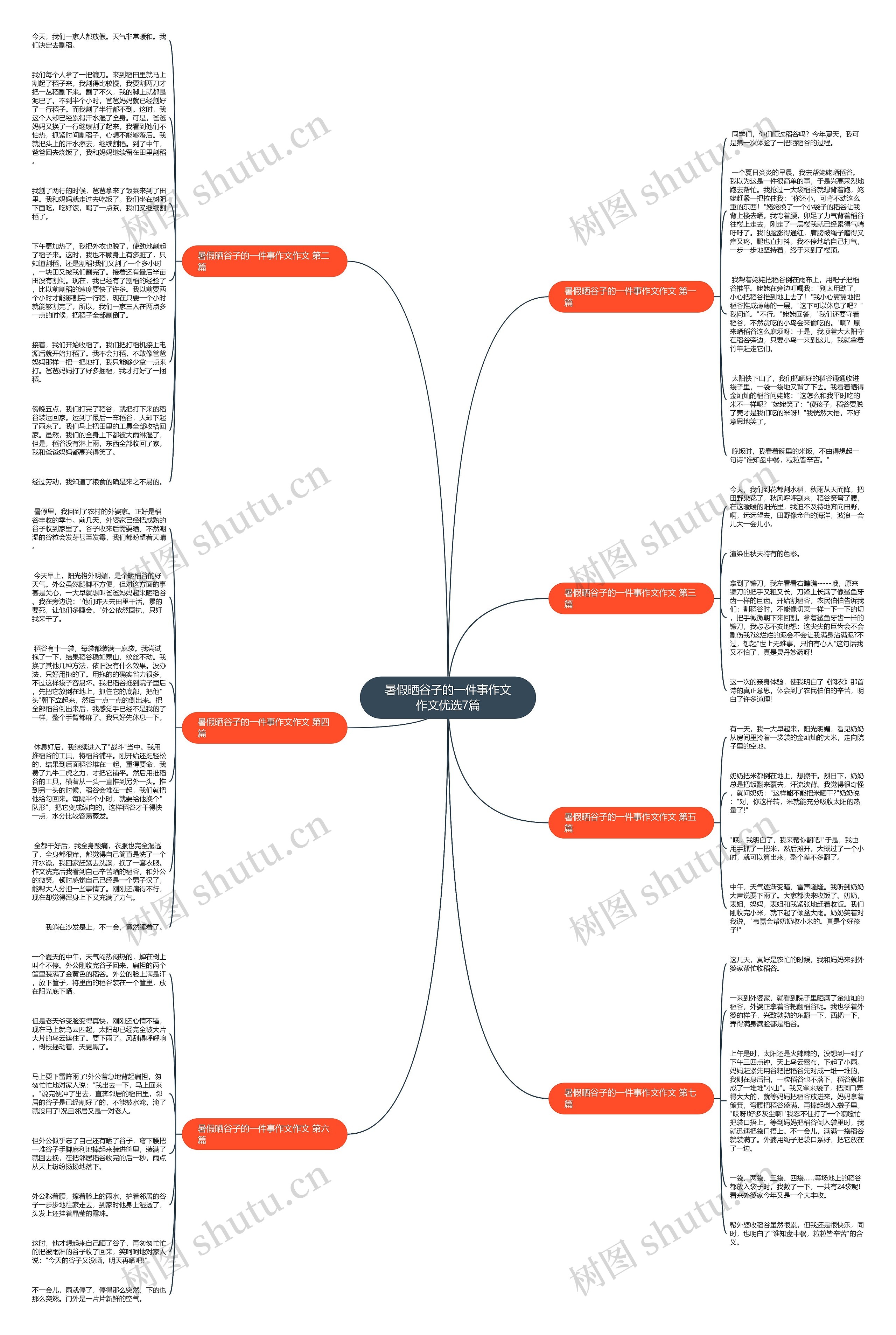 暑假晒谷子的一件事作文作文优选7篇思维导图