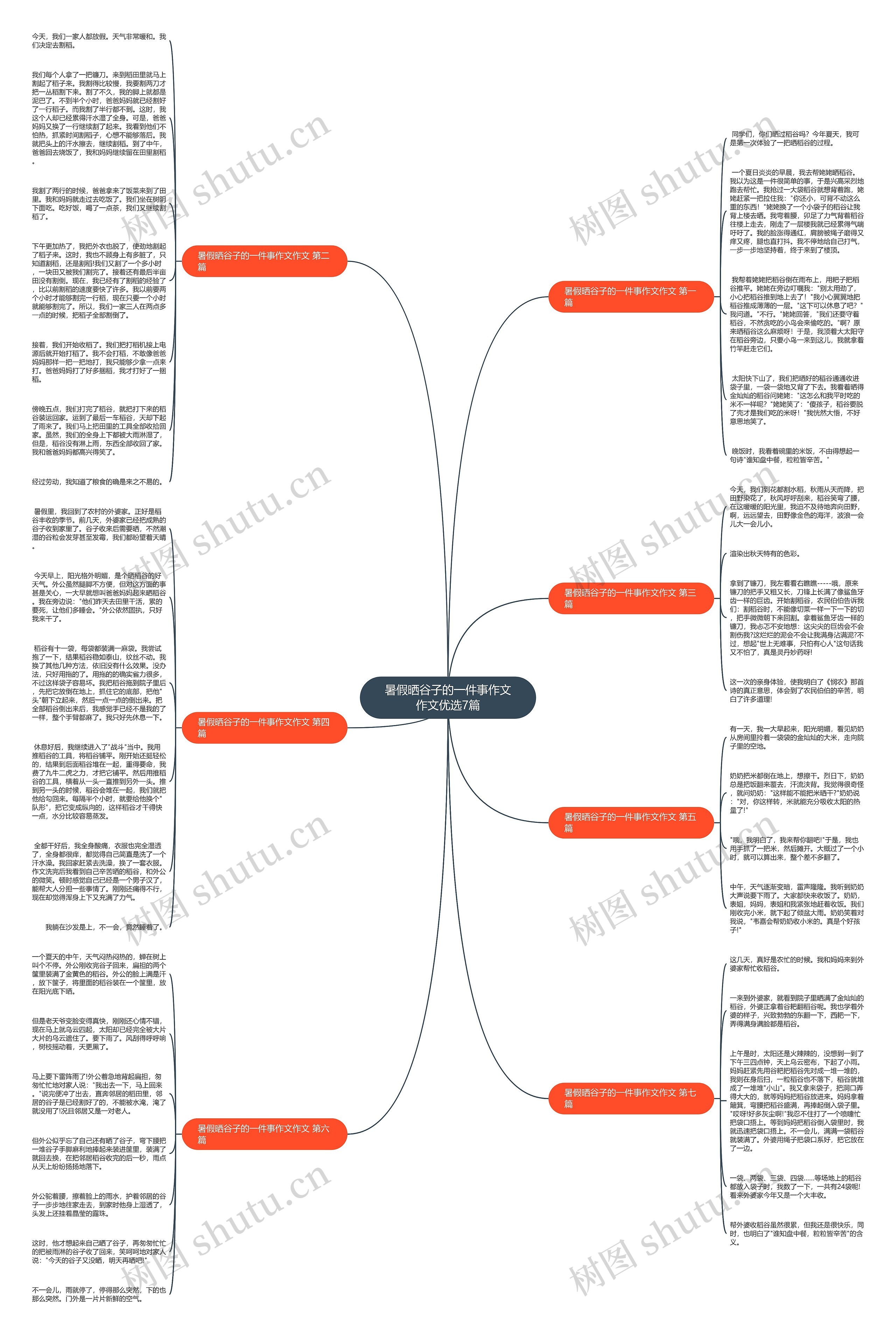 暑假晒谷子的一件事作文作文优选7篇 暑假晒谷子的一件事作文作文优选7篇