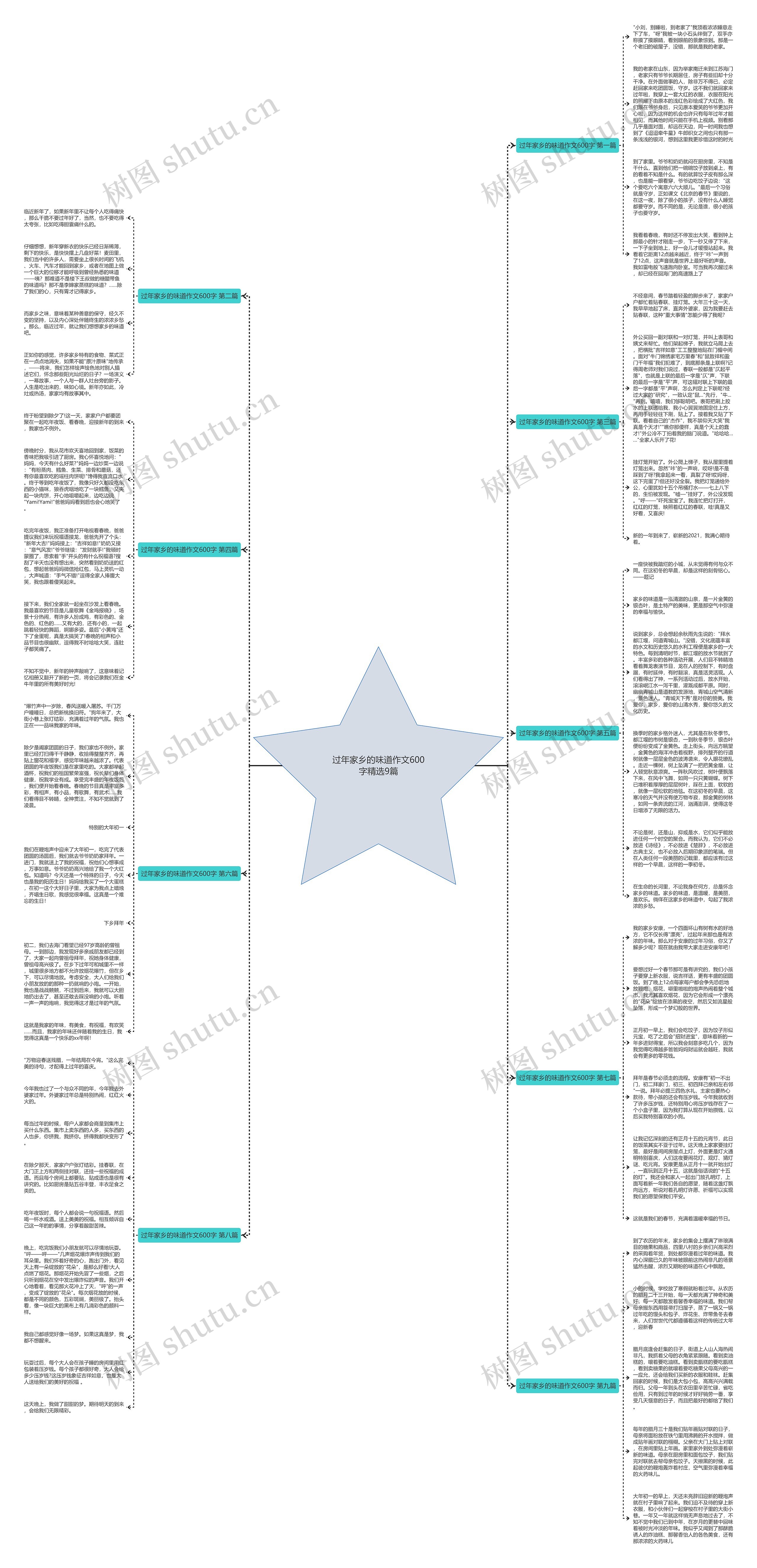 过年家乡的味道作文600字精选9篇思维导图