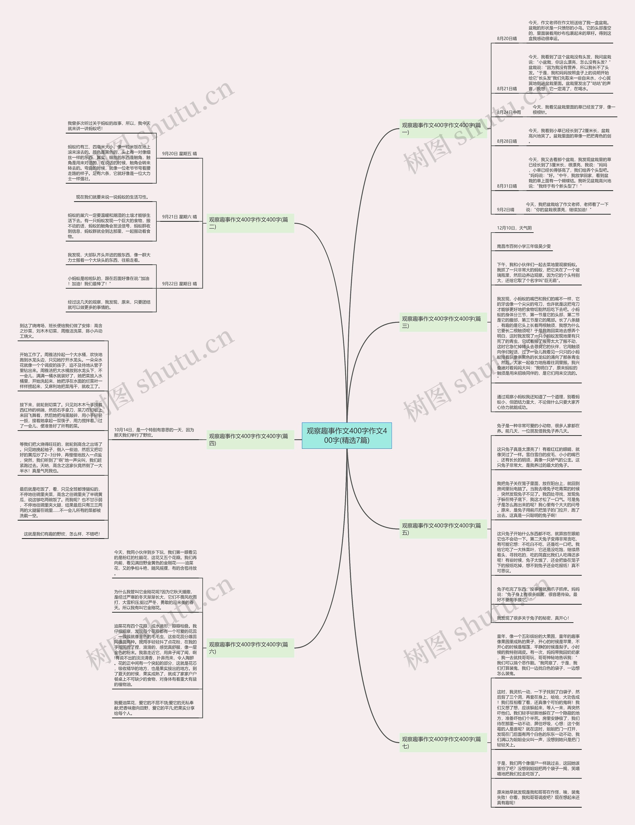 观察趣事作文400字作文400字(精选7篇)思维导图
