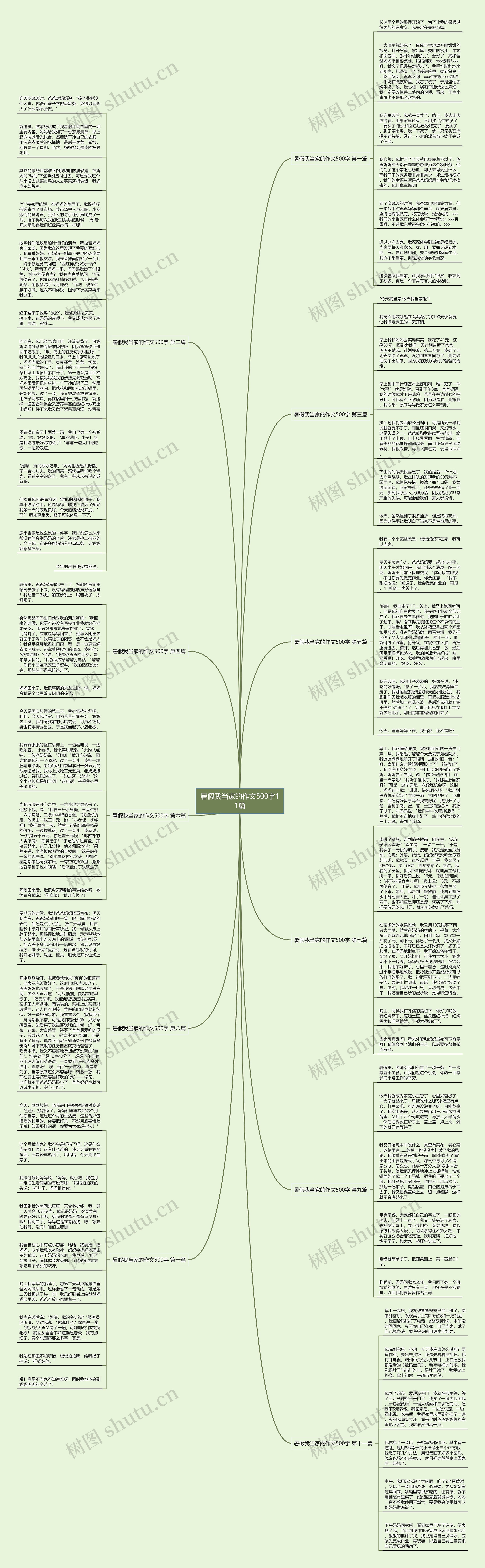 暑假我当家的作文500字11篇思维导图