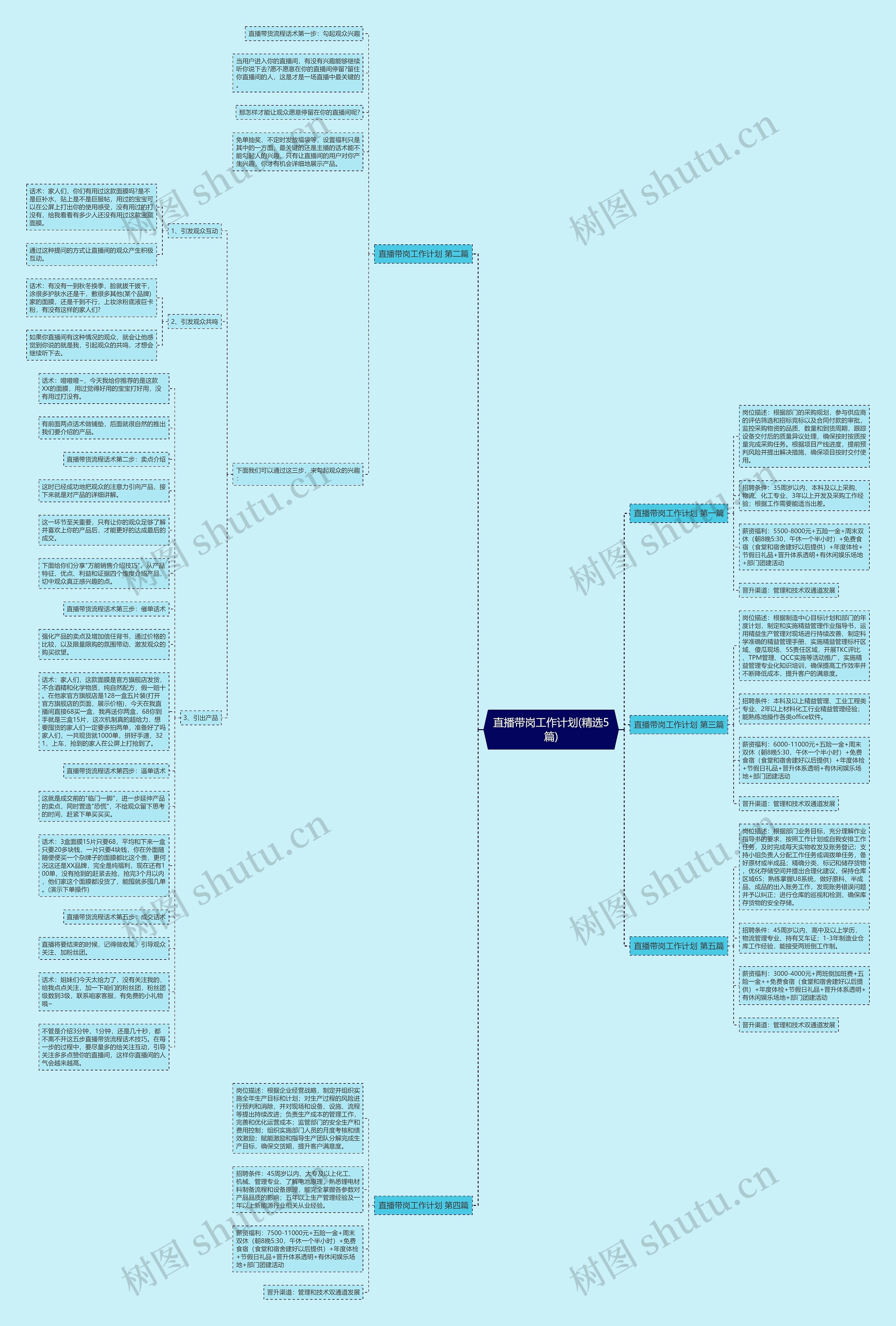 直播带岗工作计划(精选5篇)思维导图