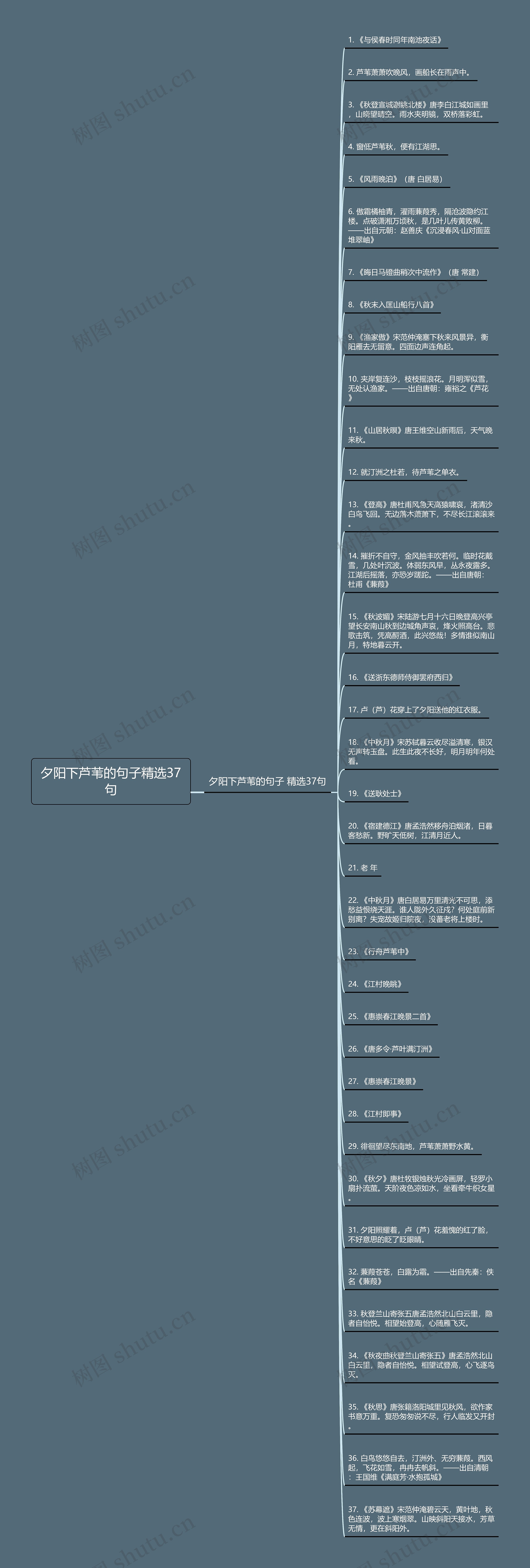 夕阳下芦苇的句子精选37句