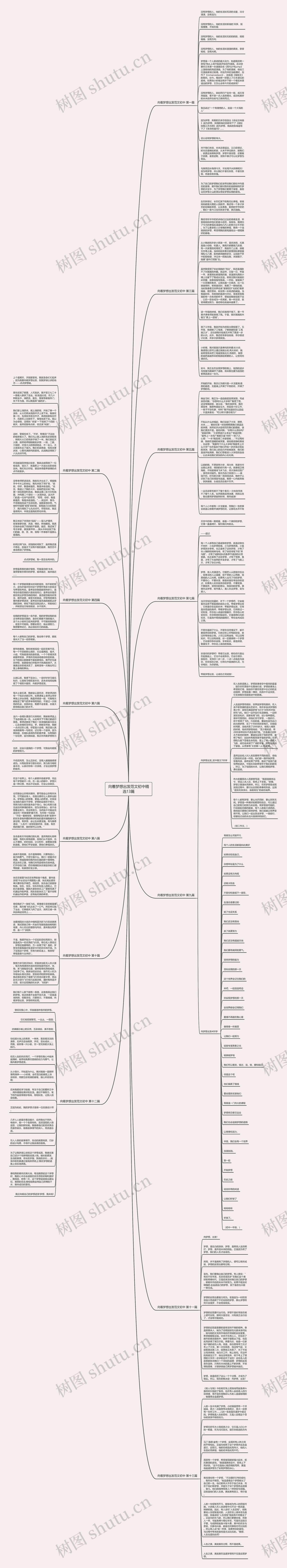 向着梦想出发范文初中精选13篇思维导图