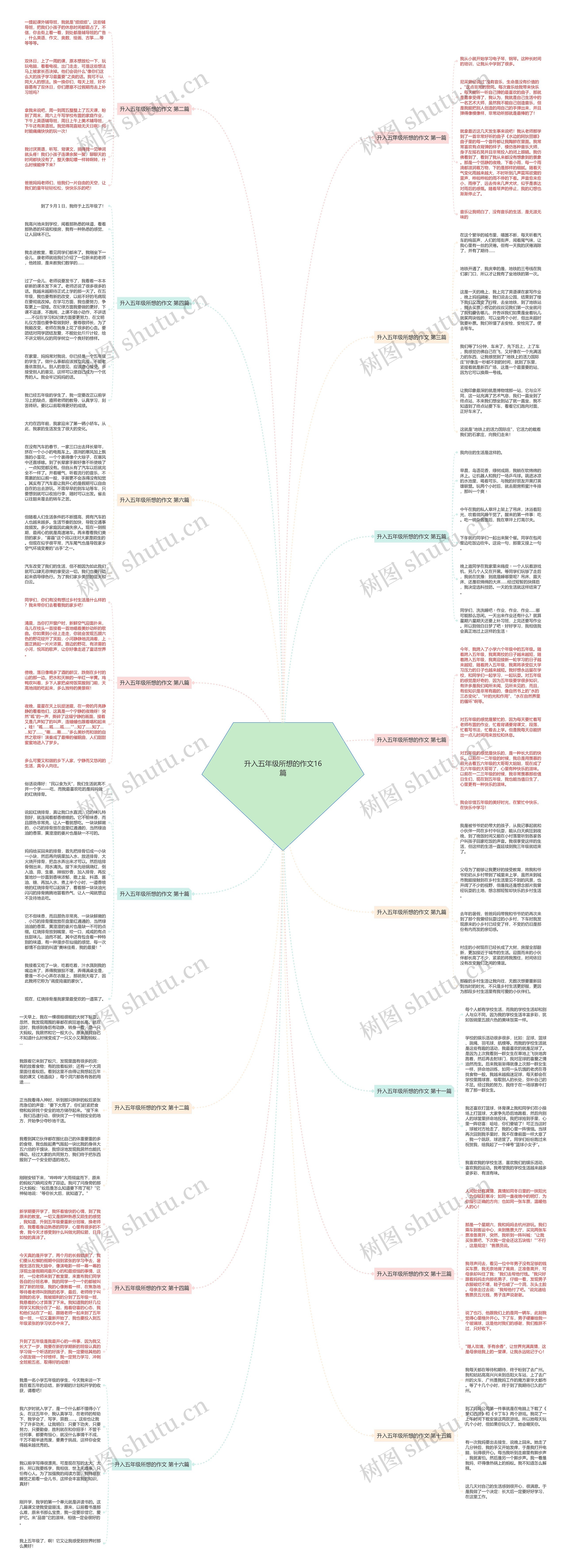 升入五年级所想的作文16篇思维导图