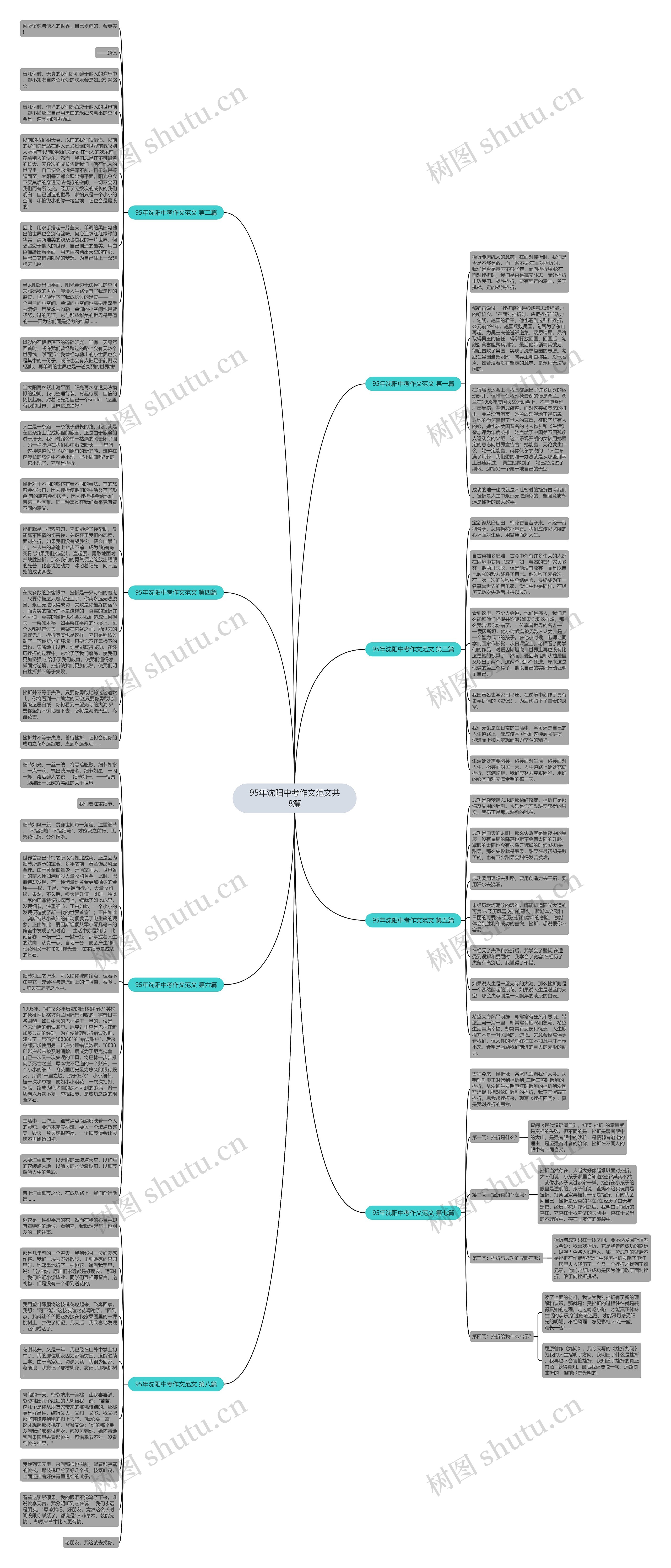 95年沈阳中考作文范文共8篇思维导图