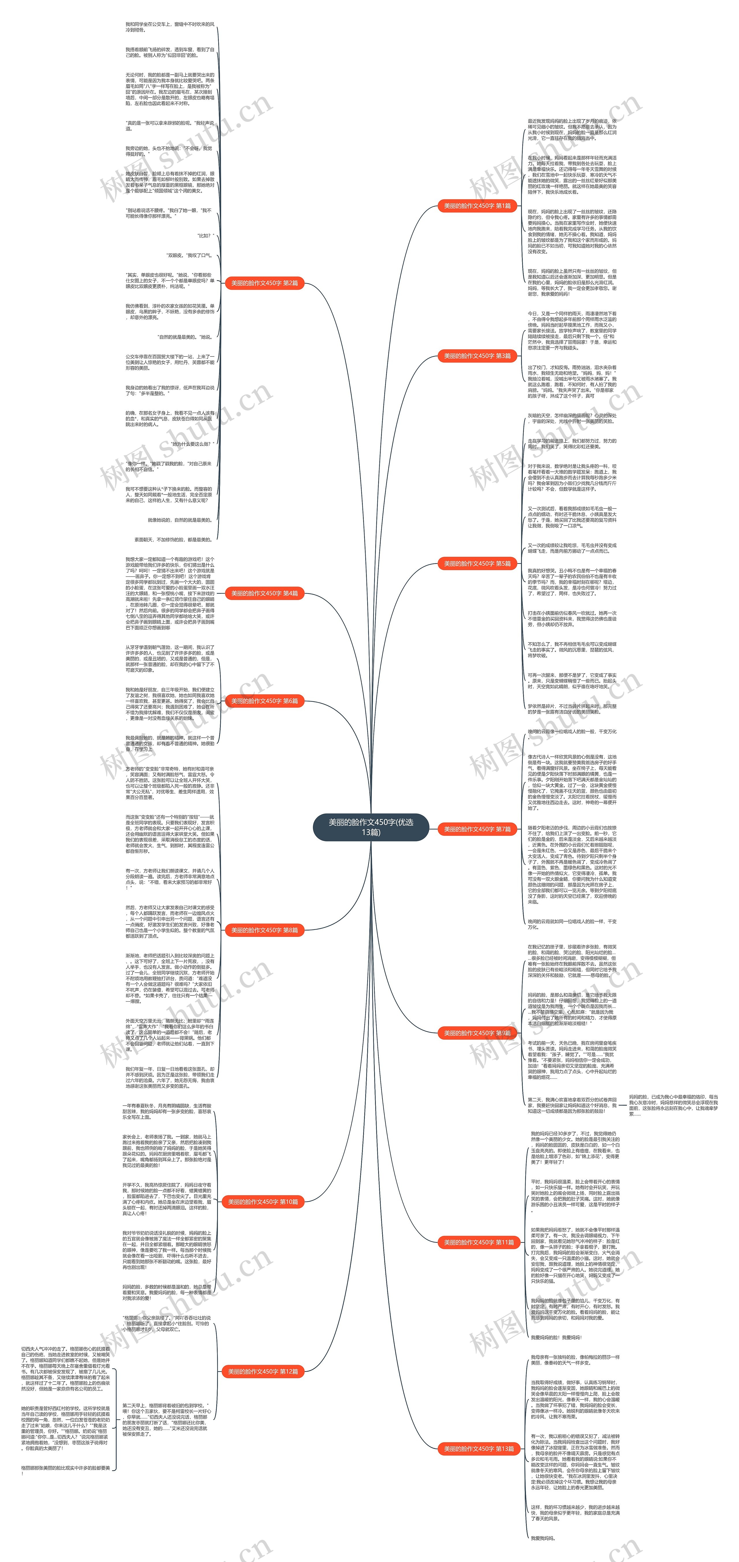 美丽的脸作文450字(优选13篇)思维导图