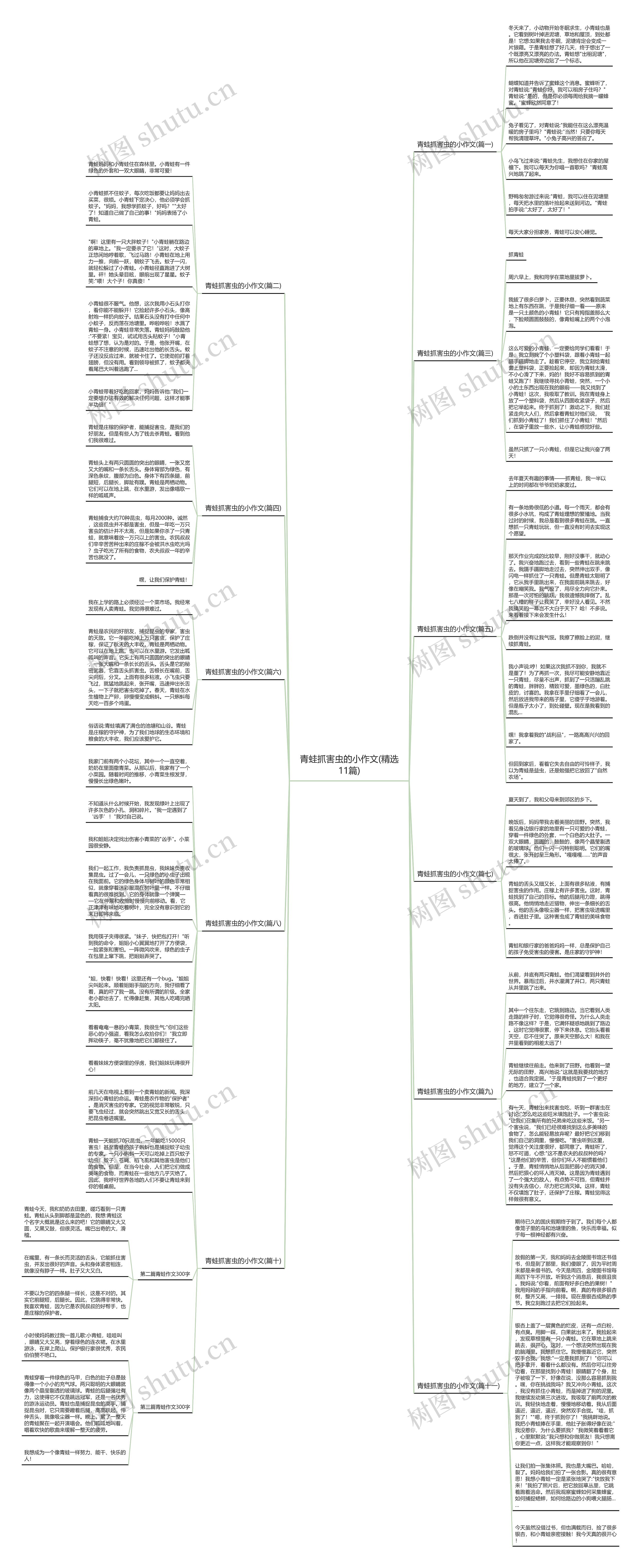 青蛙抓害虫的小作文(精选11篇)思维导图