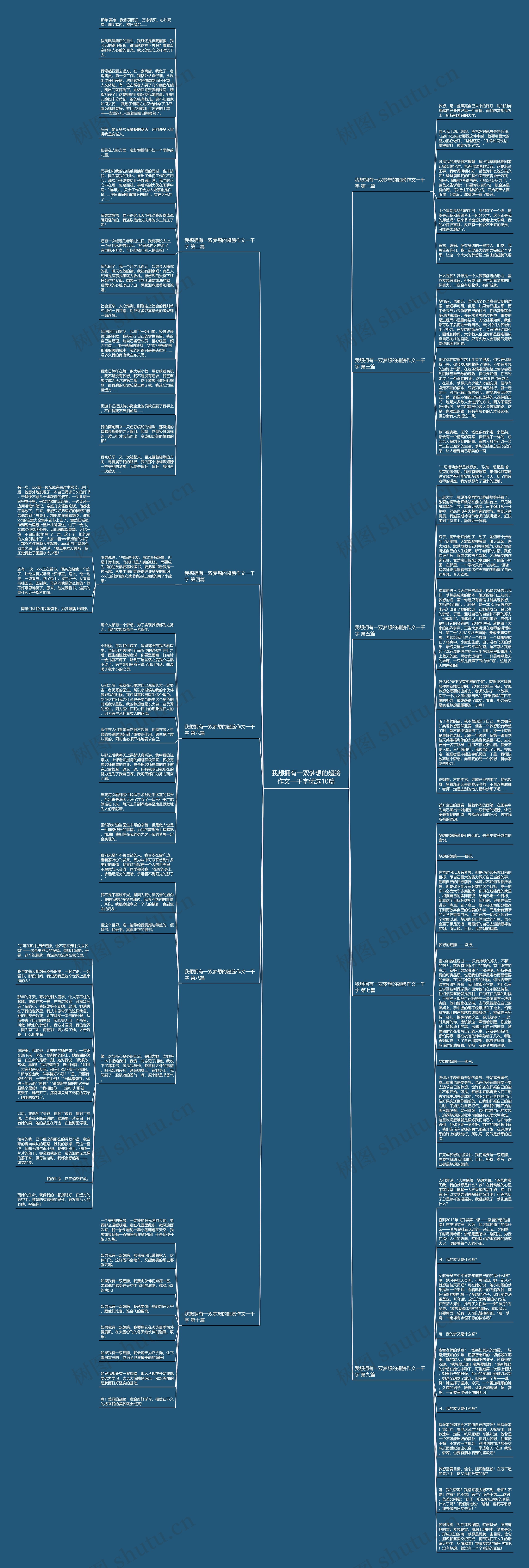 我想拥有一双梦想的翅膀作文一千字优选10篇思维导图