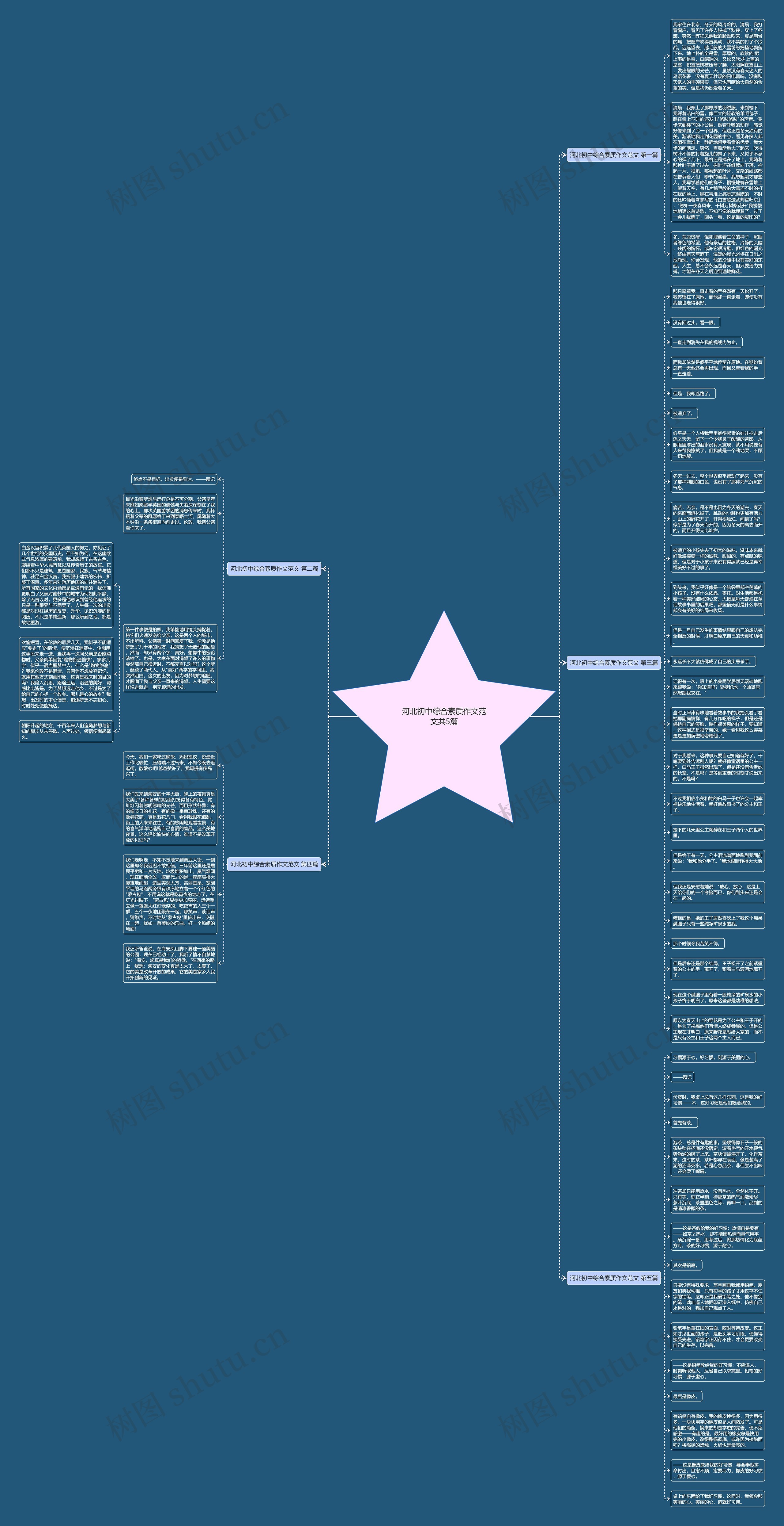 河北初中综合素质作文范文共5篇思维导图