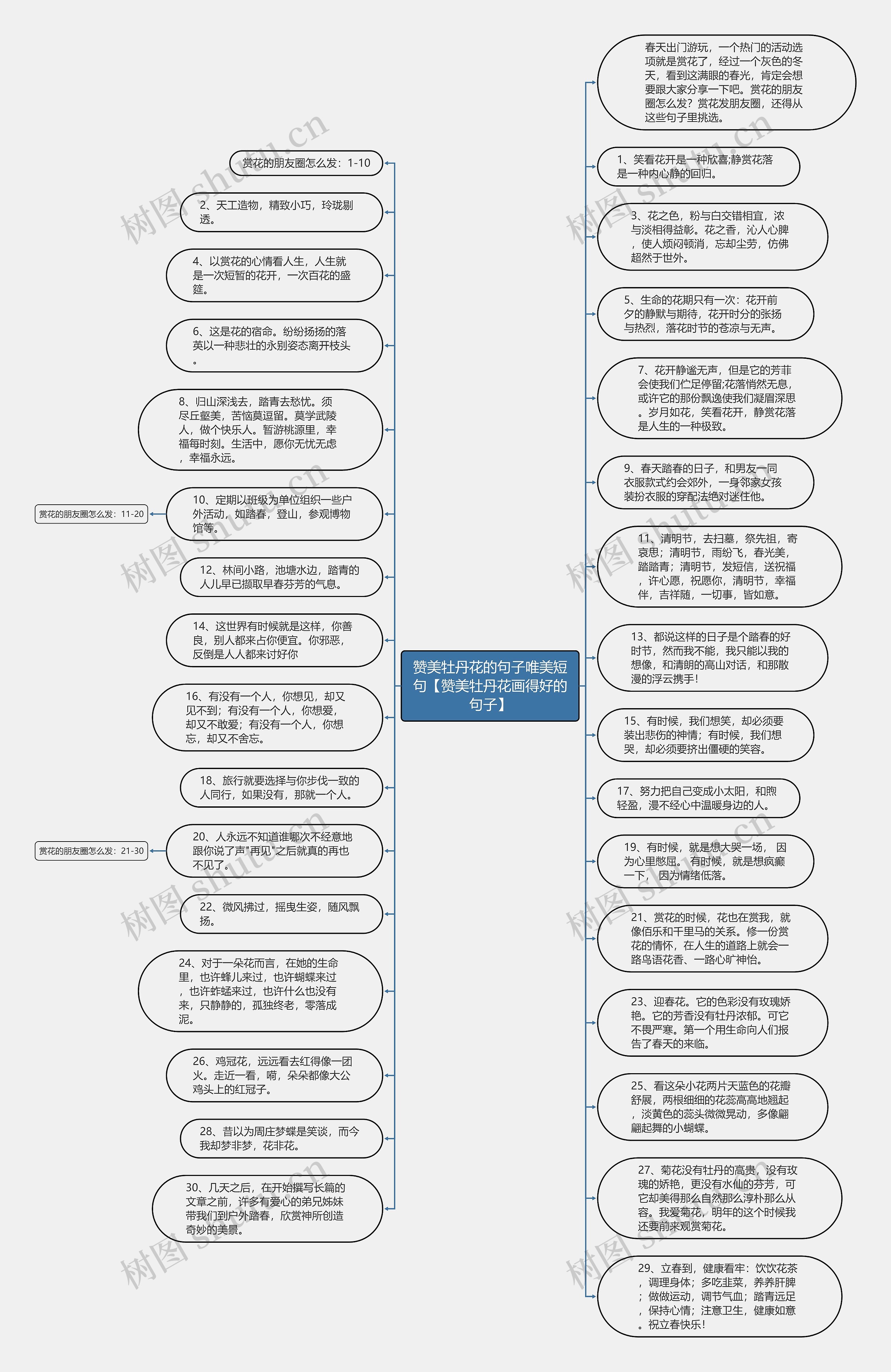 赞美牡丹花的句子唯美短句【赞美牡丹花画得好的句子】思维导图