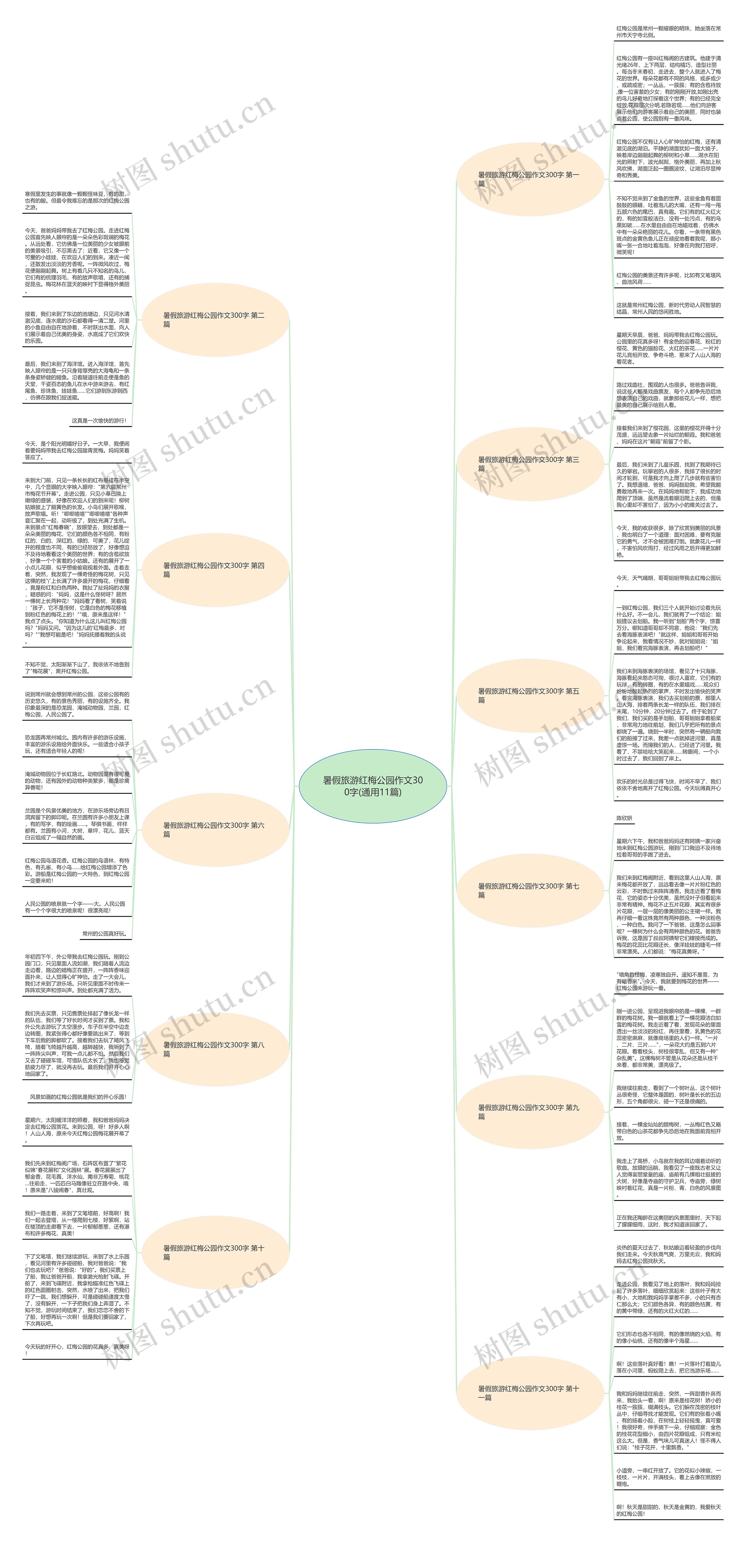 暑假旅游红梅公园作文300字(通用11篇)思维导图