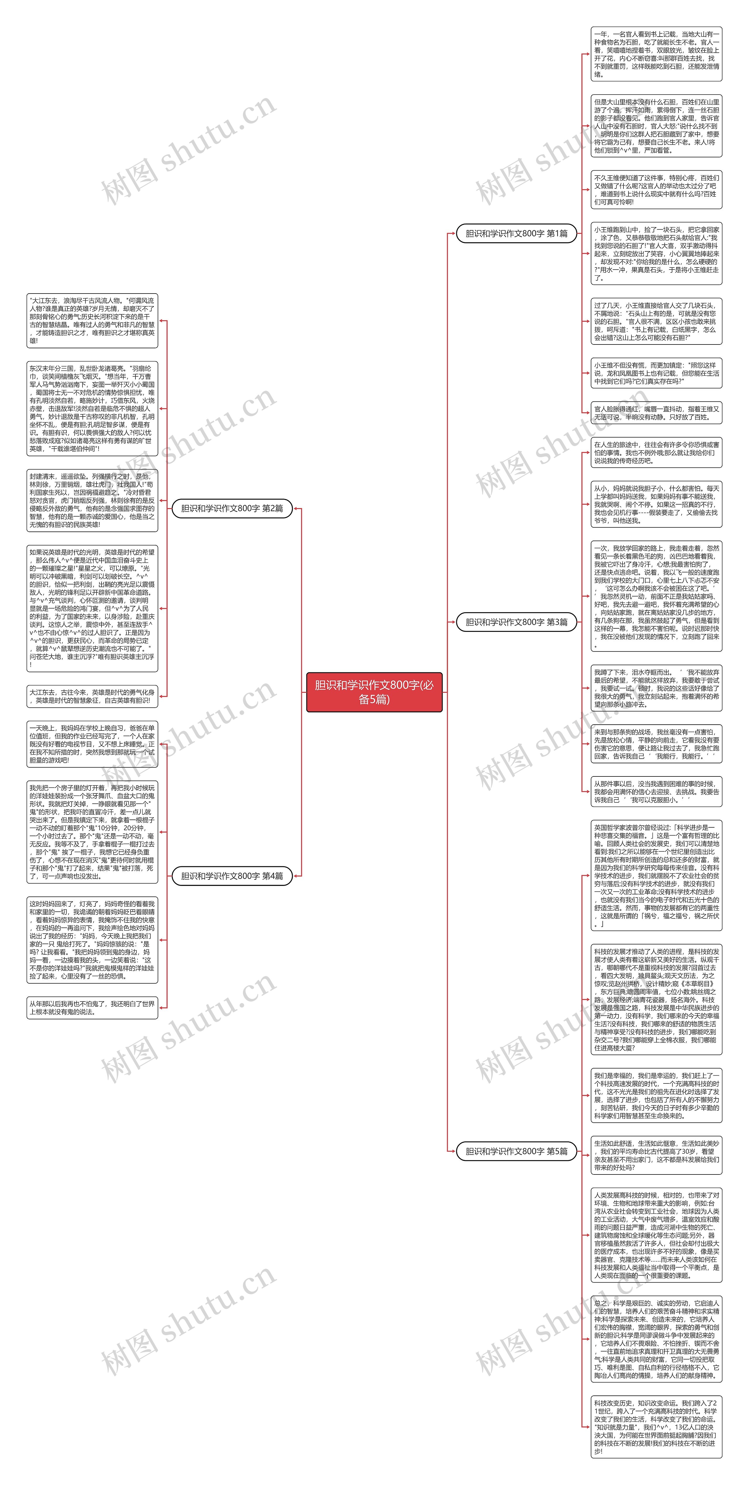 胆识和学识作文800字(必备5篇)思维导图