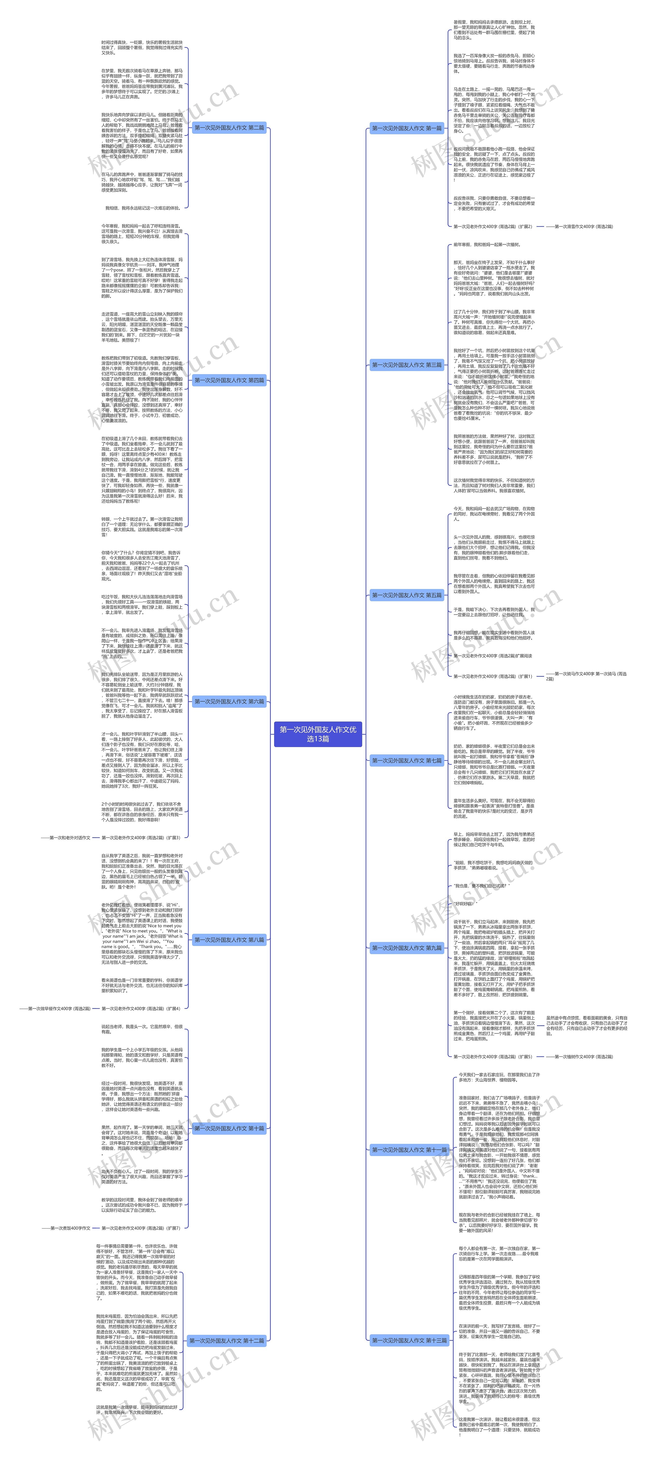 第一次见外国友人作文优选13篇思维导图
