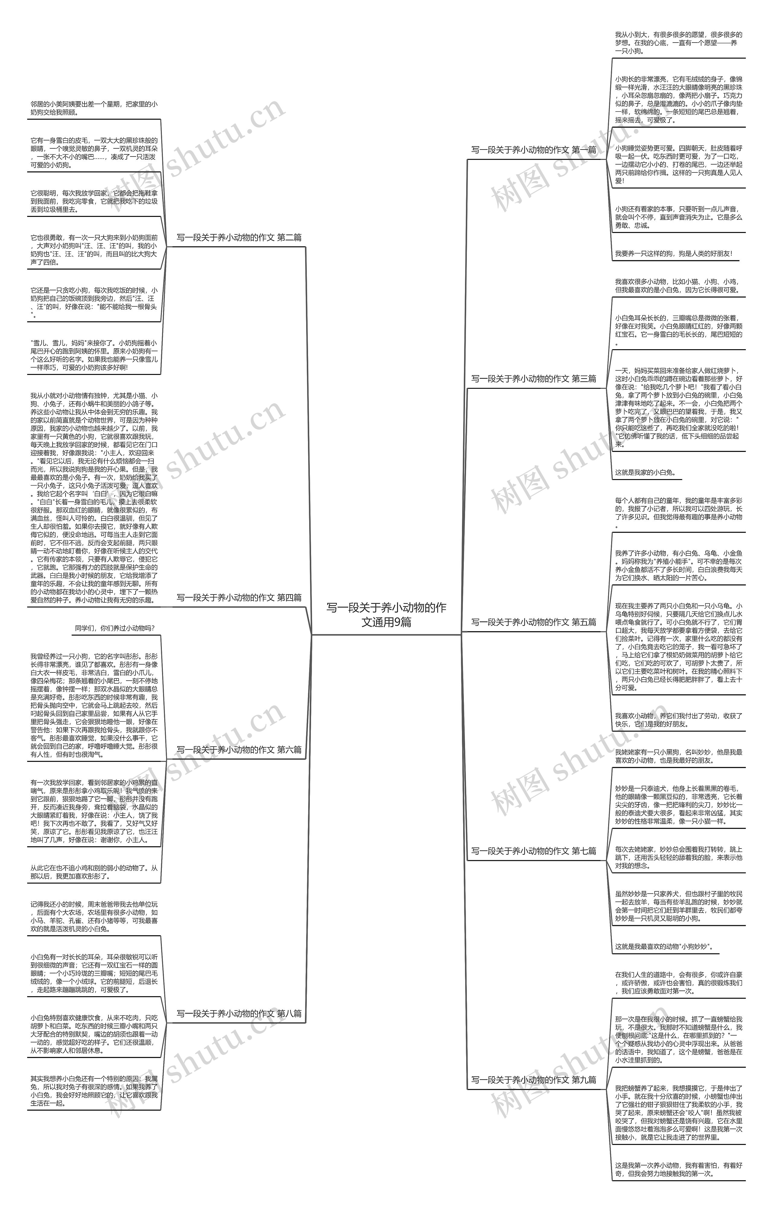 写一段关于养小动物的作文通用9篇思维导图