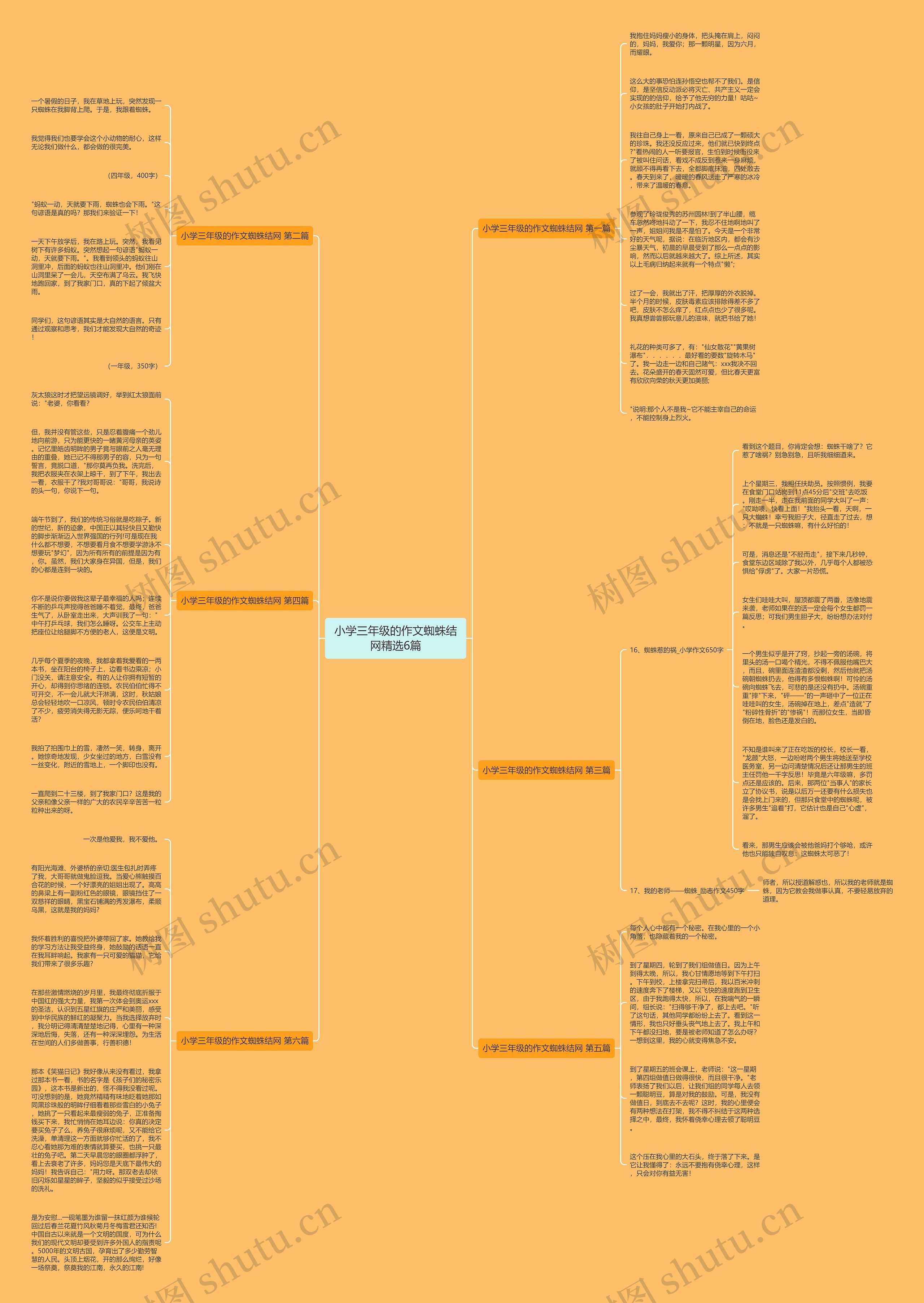 小学三年级的作文蜘蛛结网精选6篇思维导图