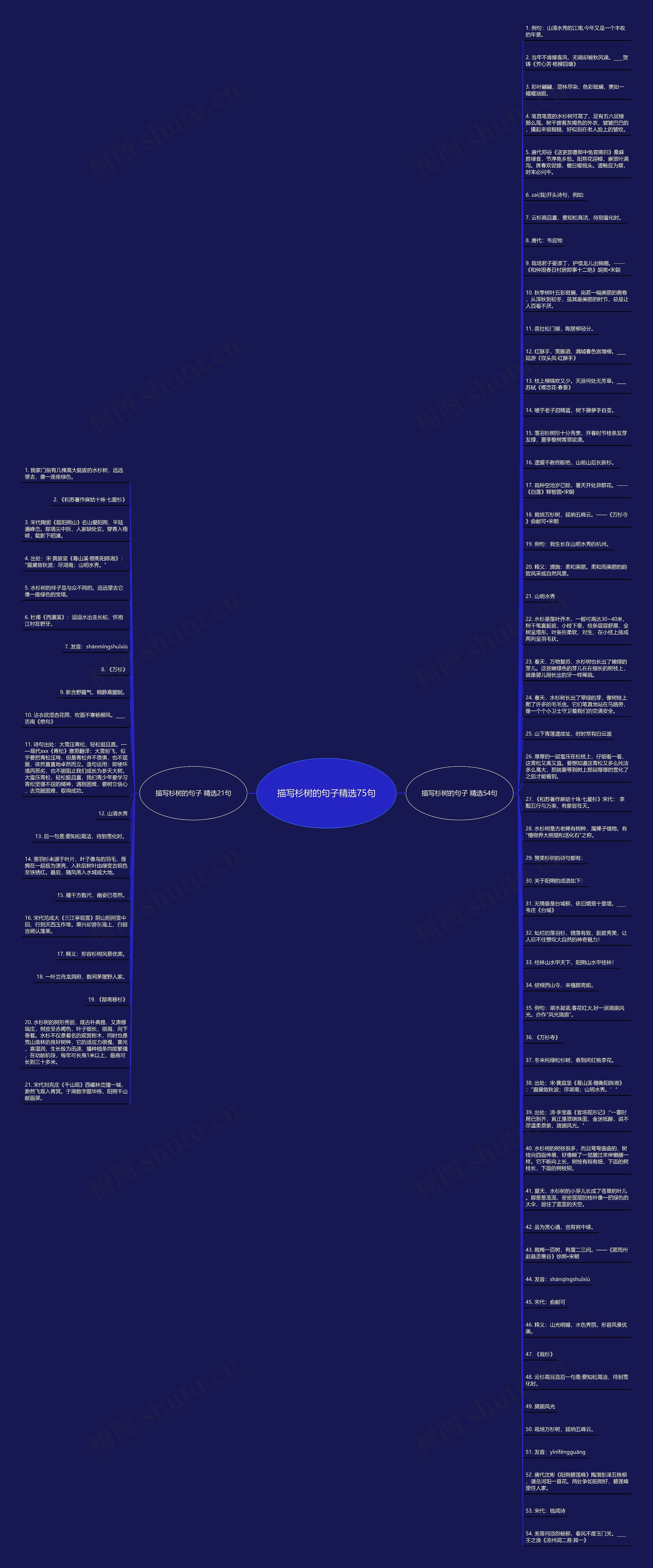 描写杉树的句子精选75句思维导图