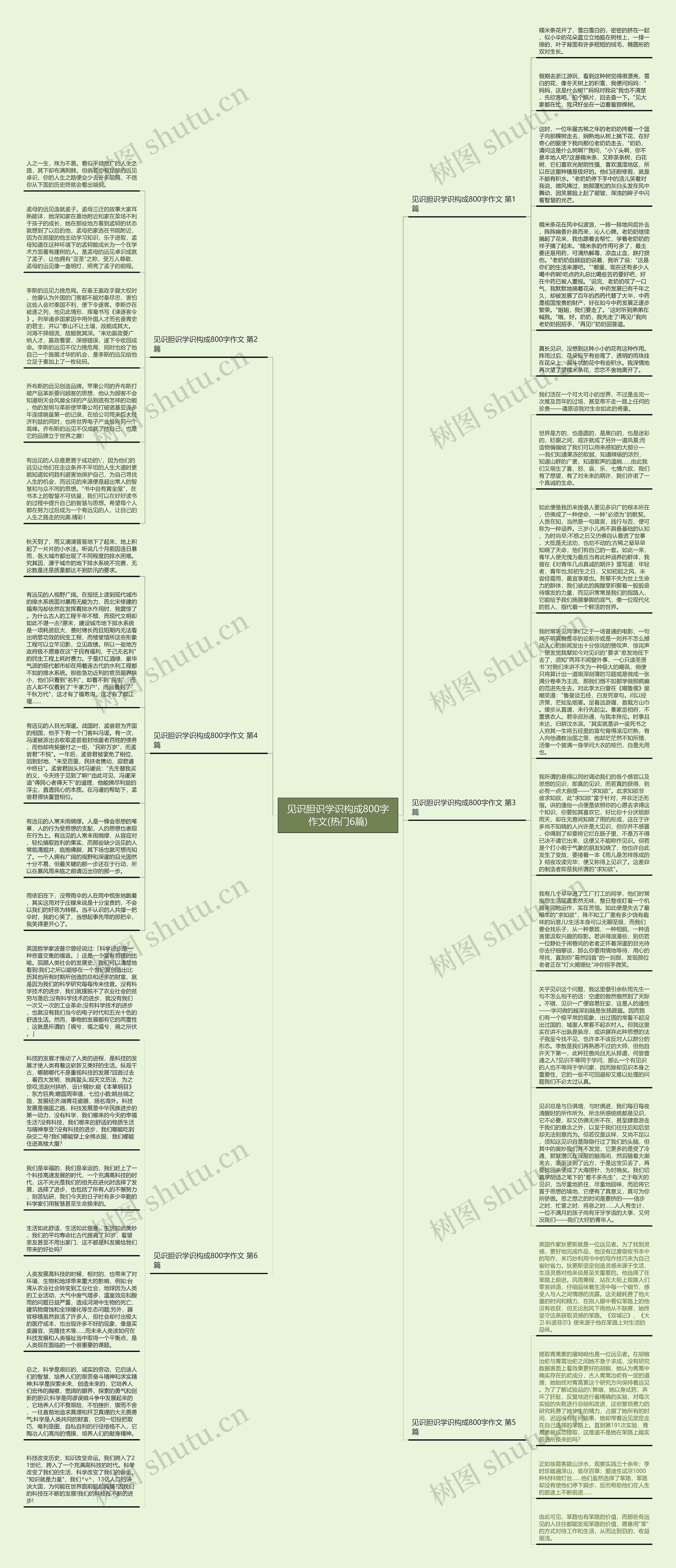 见识胆识学识构成800字作文(热门6篇)思维导图
