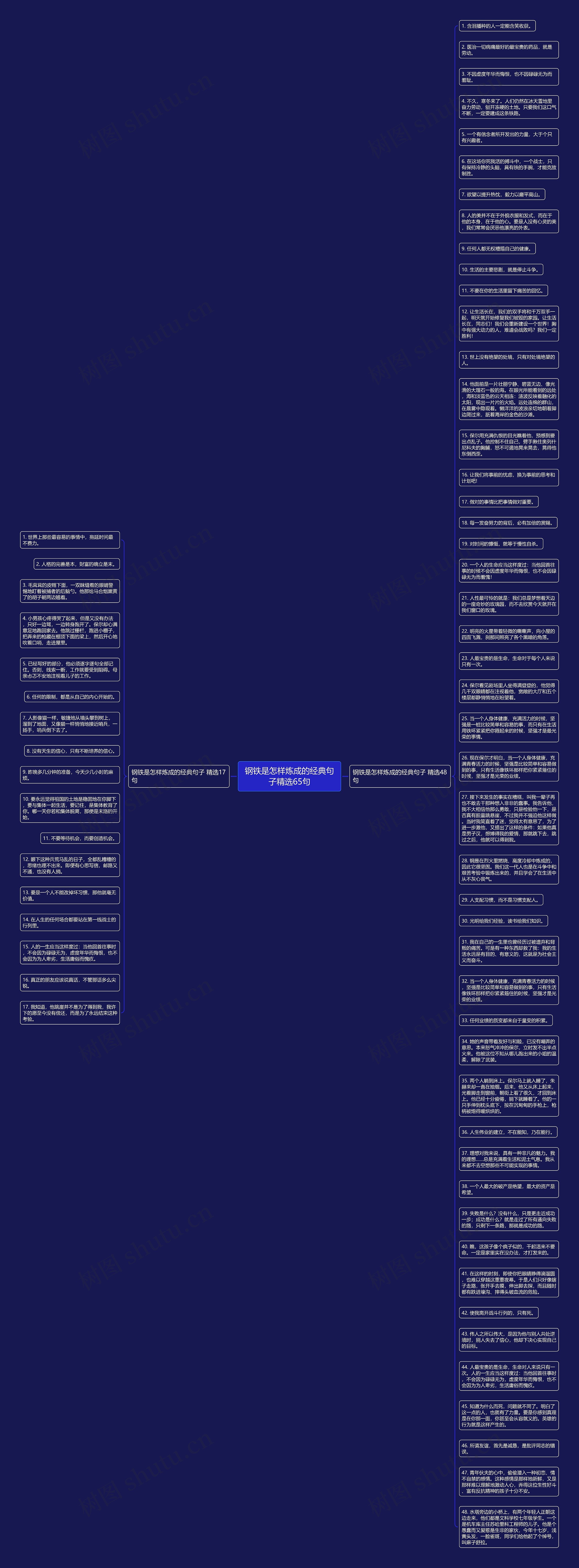 钢铁是怎样炼成的经典句子精选65句思维导图
