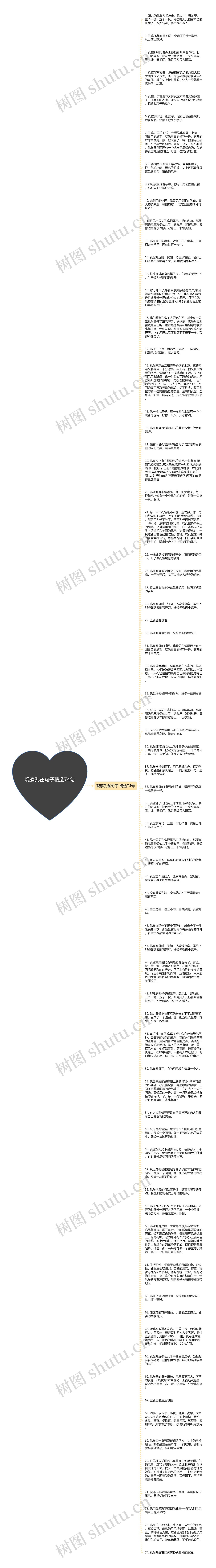 观察孔雀句子精选74句思维导图