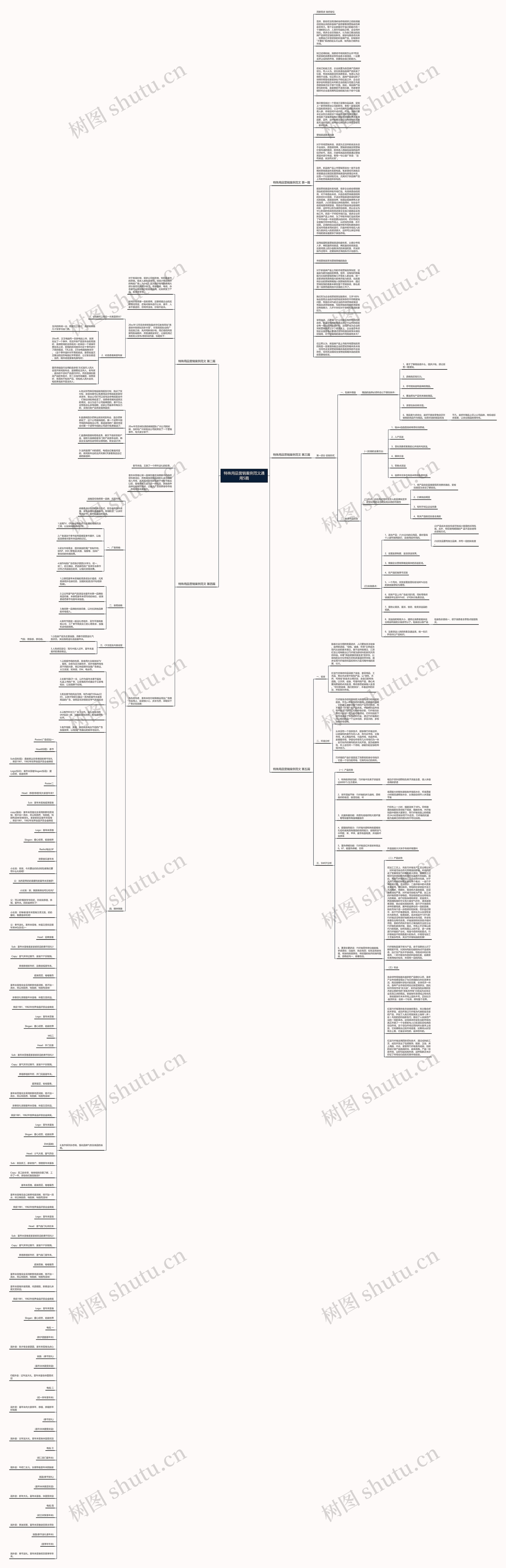 特殊用品营销案例范文通用5篇思维导图