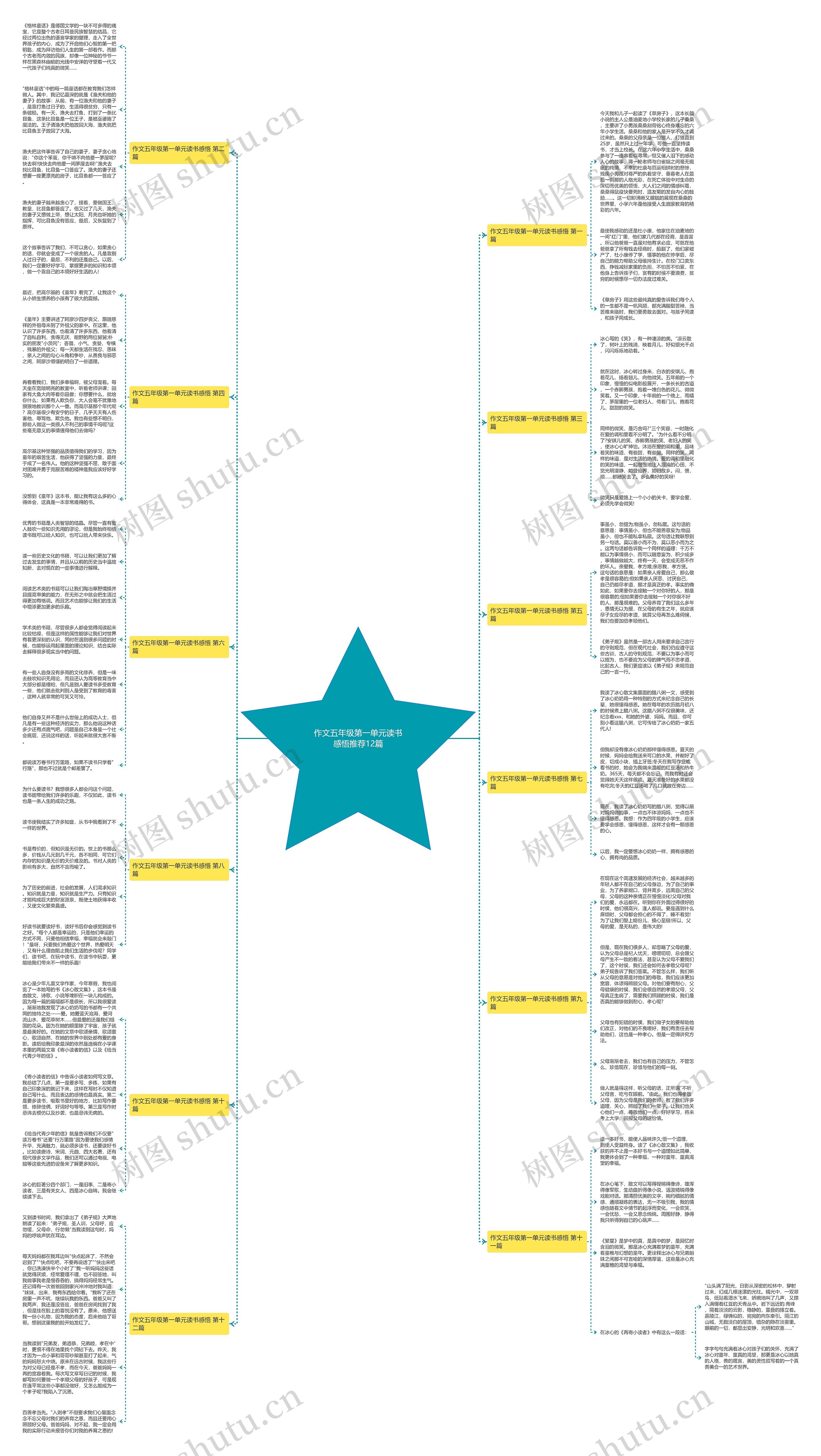 作文五年级第一单元读书感悟推荐12篇 作文五年级第一单元读书感悟推荐12篇