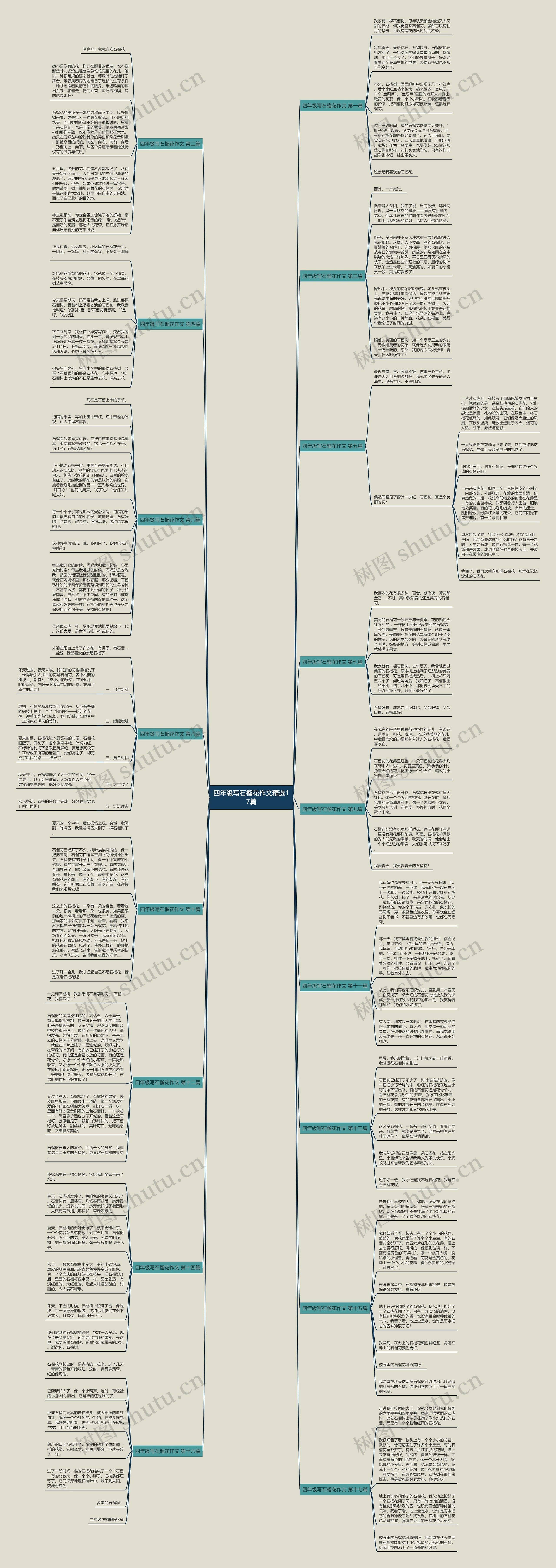 四年级写石榴花作文精选17篇