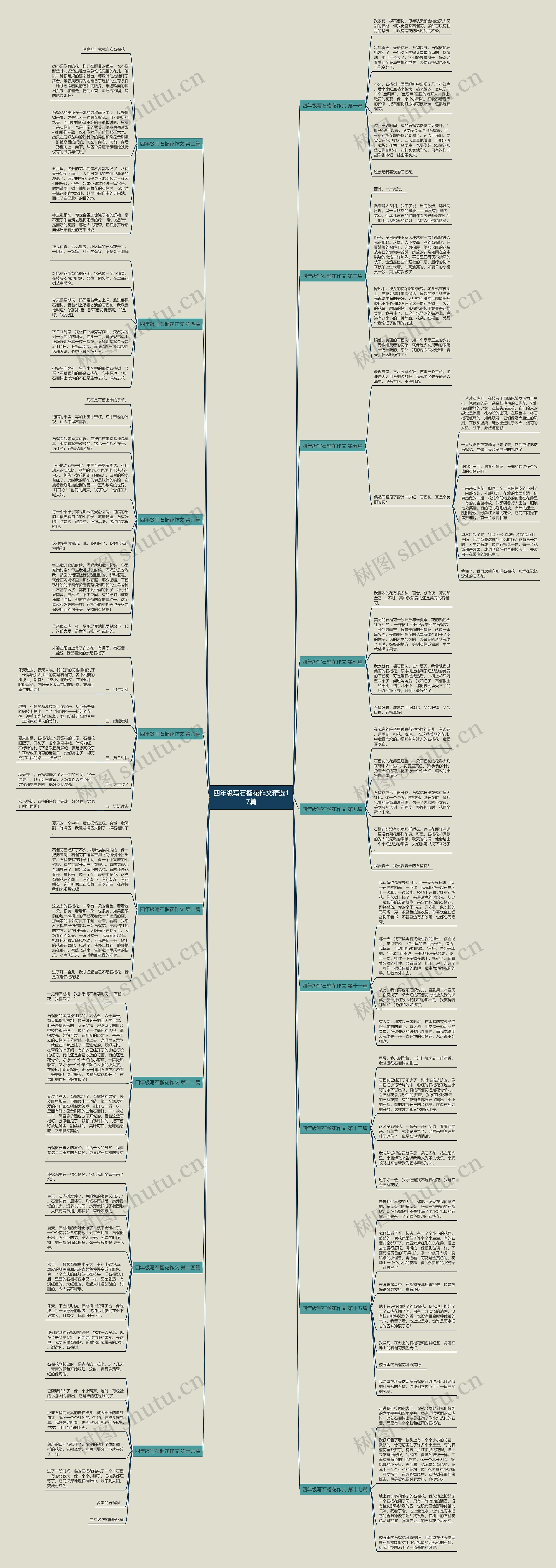 四年级写石榴花作文精选17篇 四年级写石榴花作文精选17篇