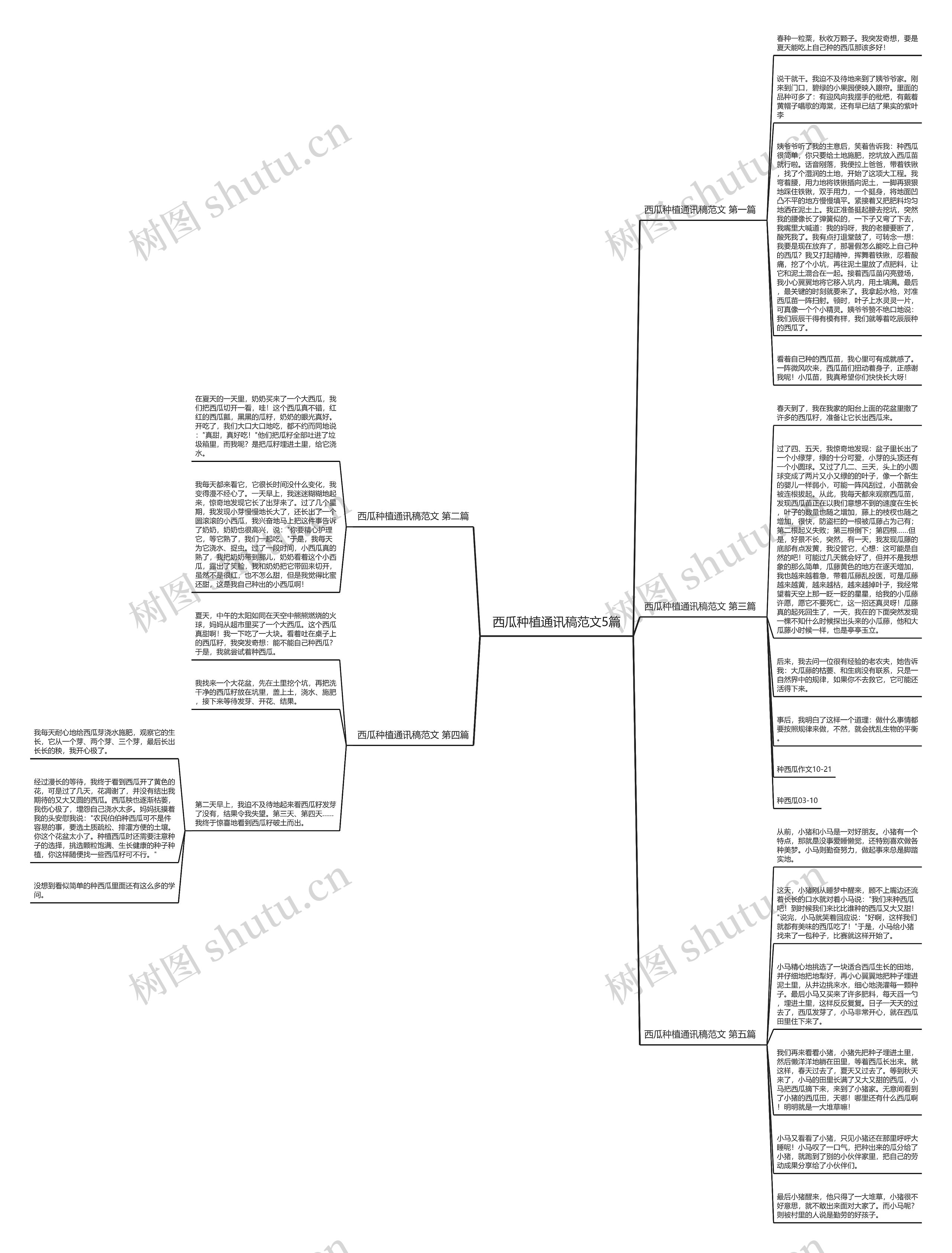 西瓜种植通讯稿范文5篇思维导图