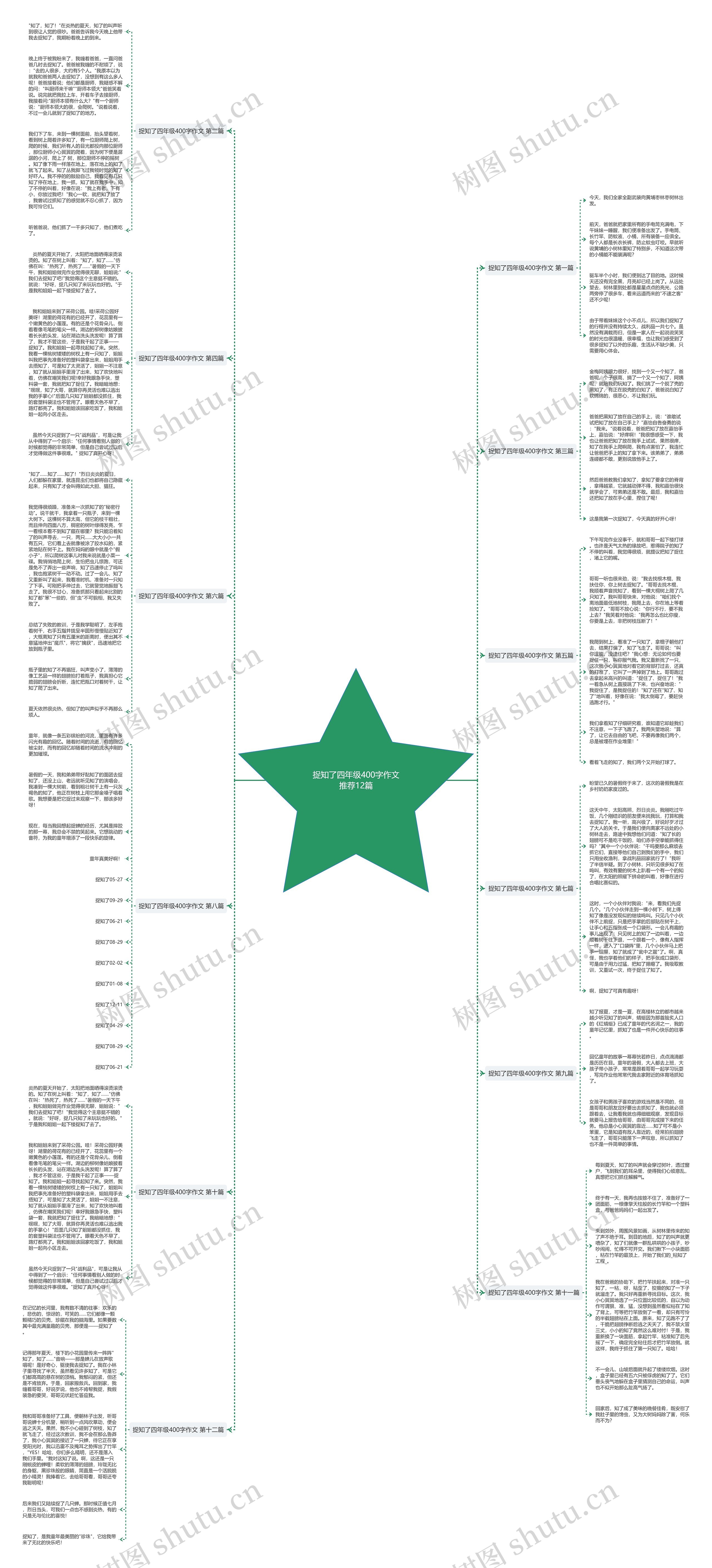 捉知了四年级400字作文推荐12篇思维导图