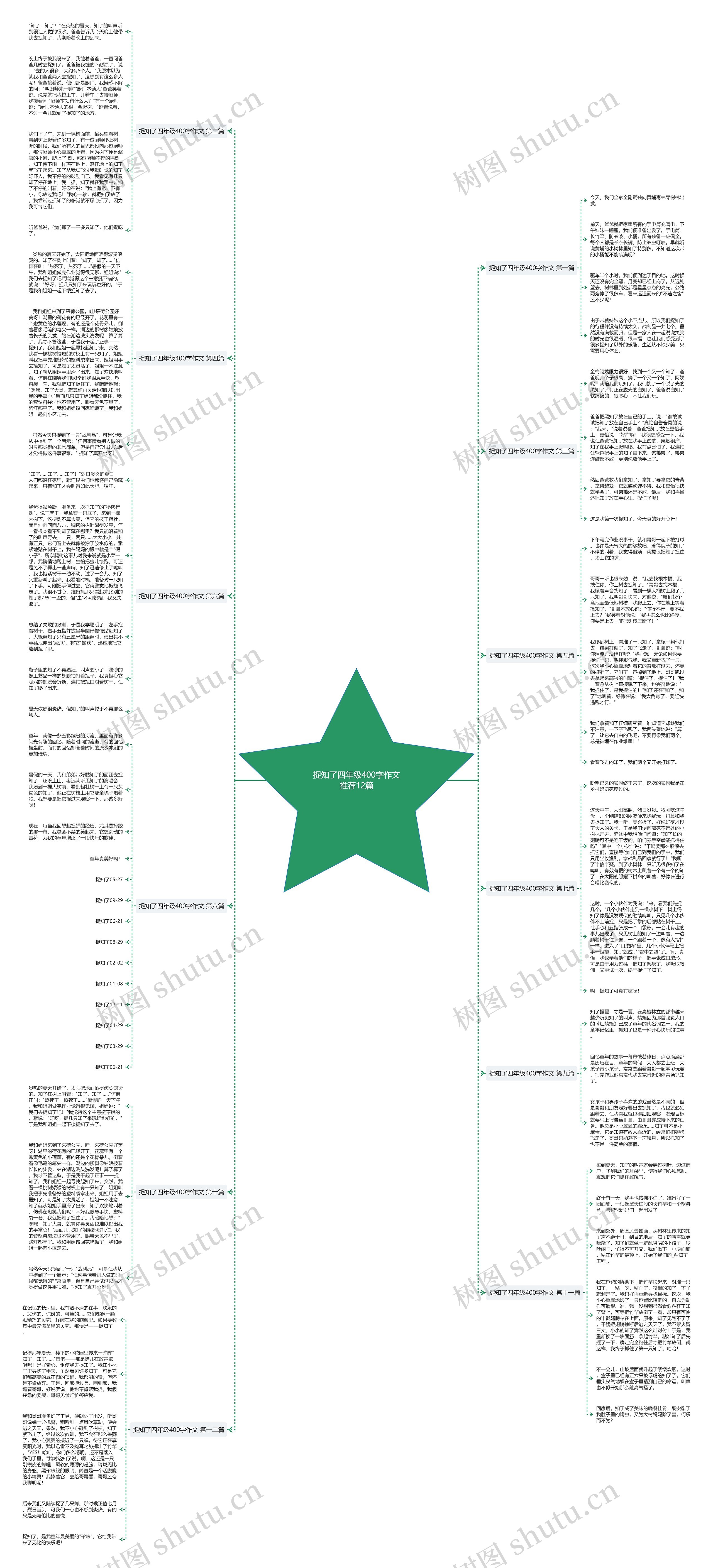 捉知了四年级400字作文推荐12篇思维导图高清图 捉知了四年级400字作文推荐12篇思维导图