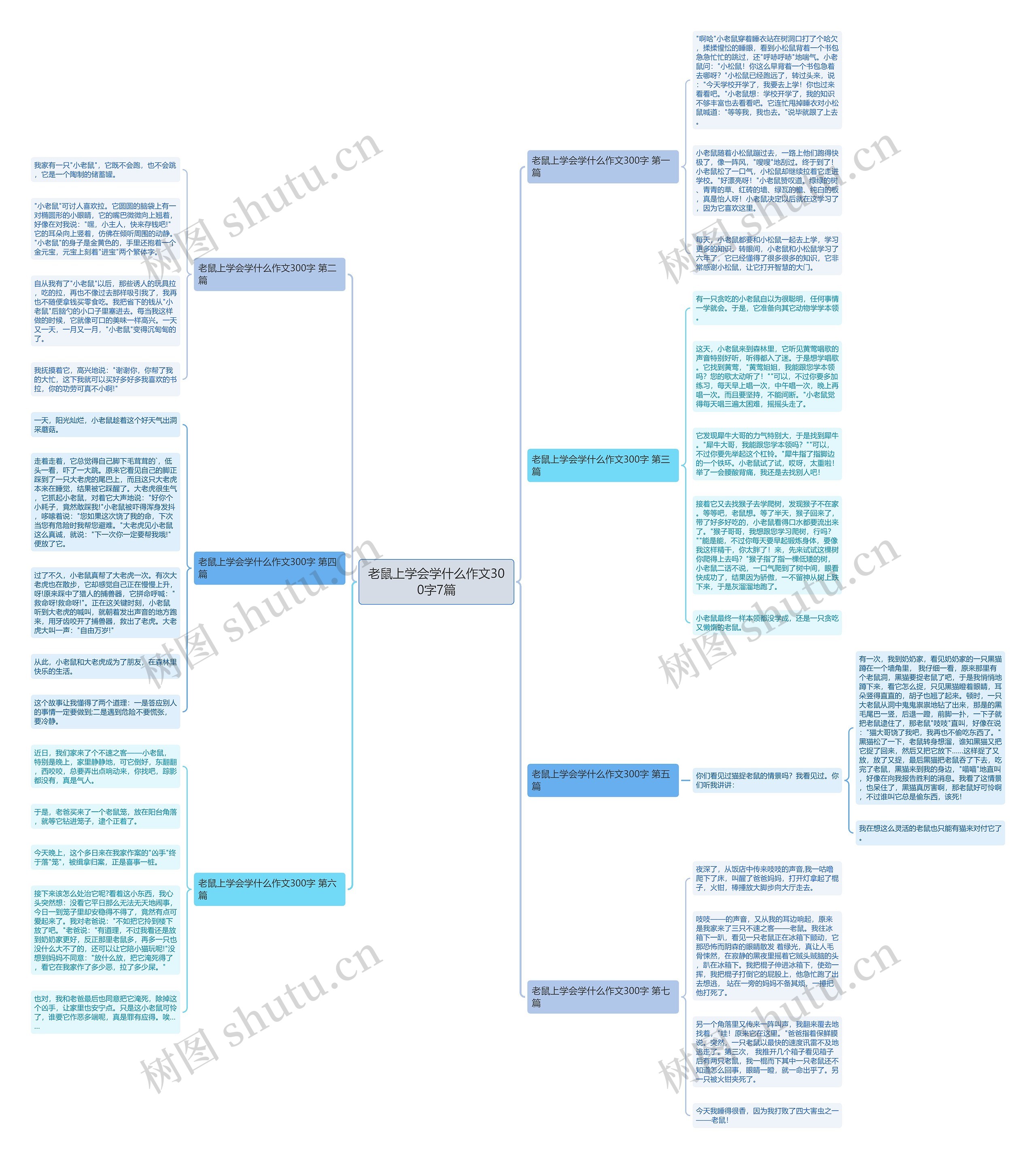 老鼠上学会学什么作文300字7篇思维导图