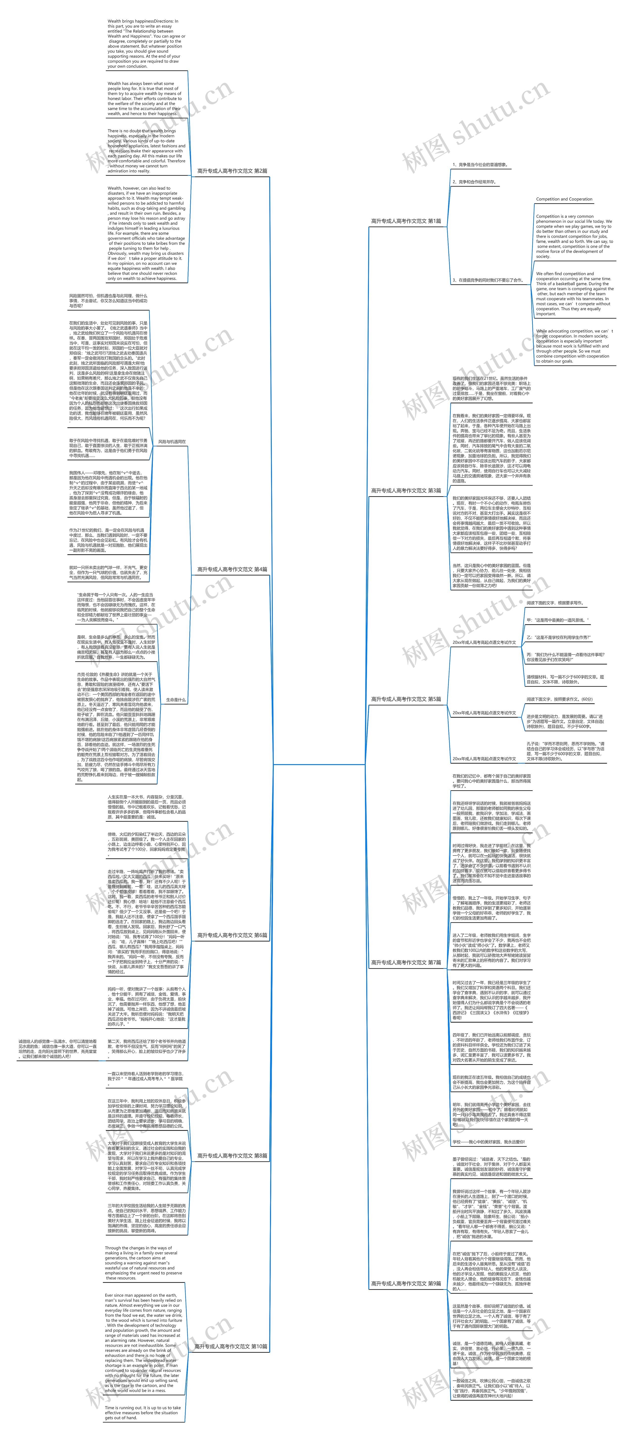 高升专成人高考作文范文(通用10篇)思维导图