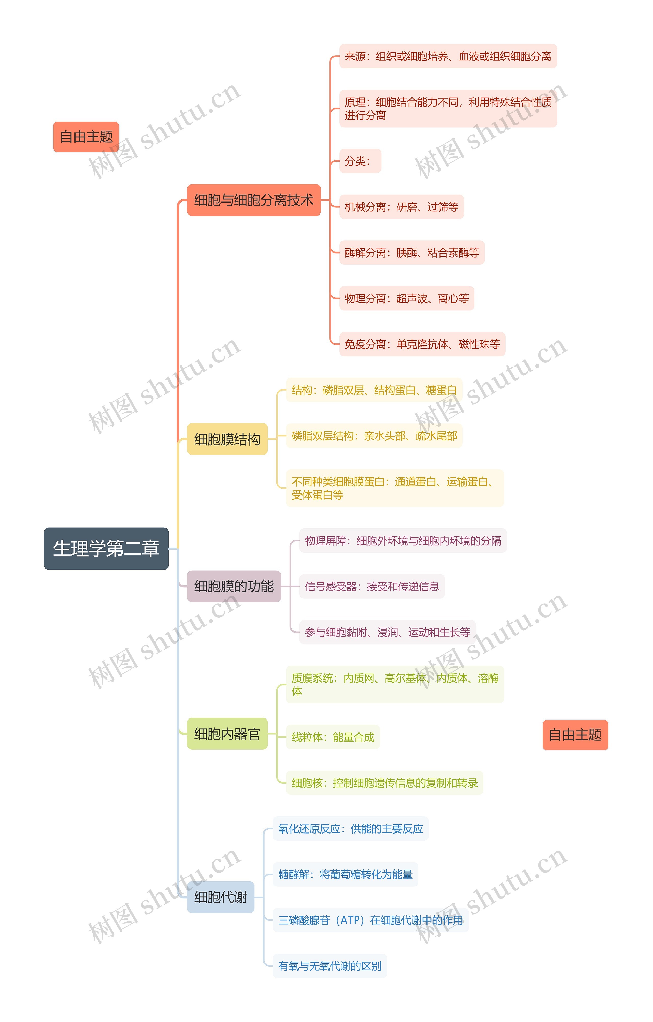 生理学第二章