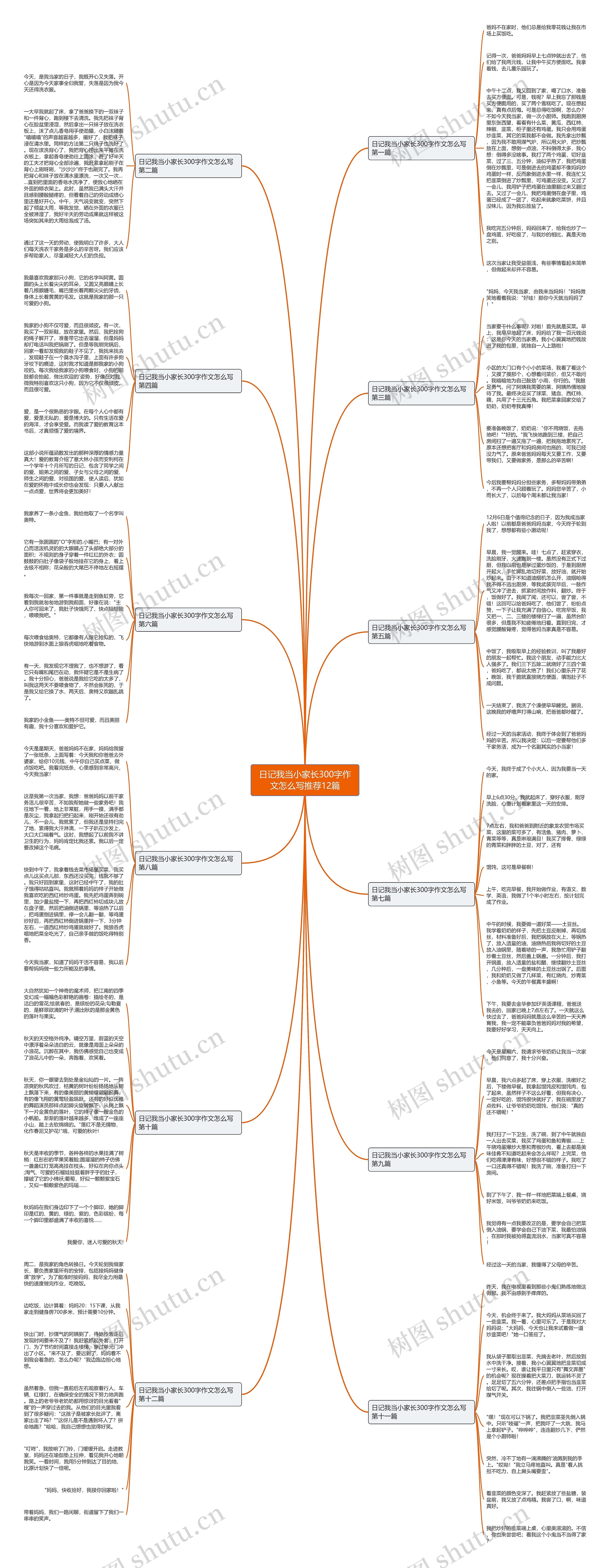 日记我当小家长300字作文怎么写推荐12篇 日记我当小家长300字作文怎么写推荐12篇