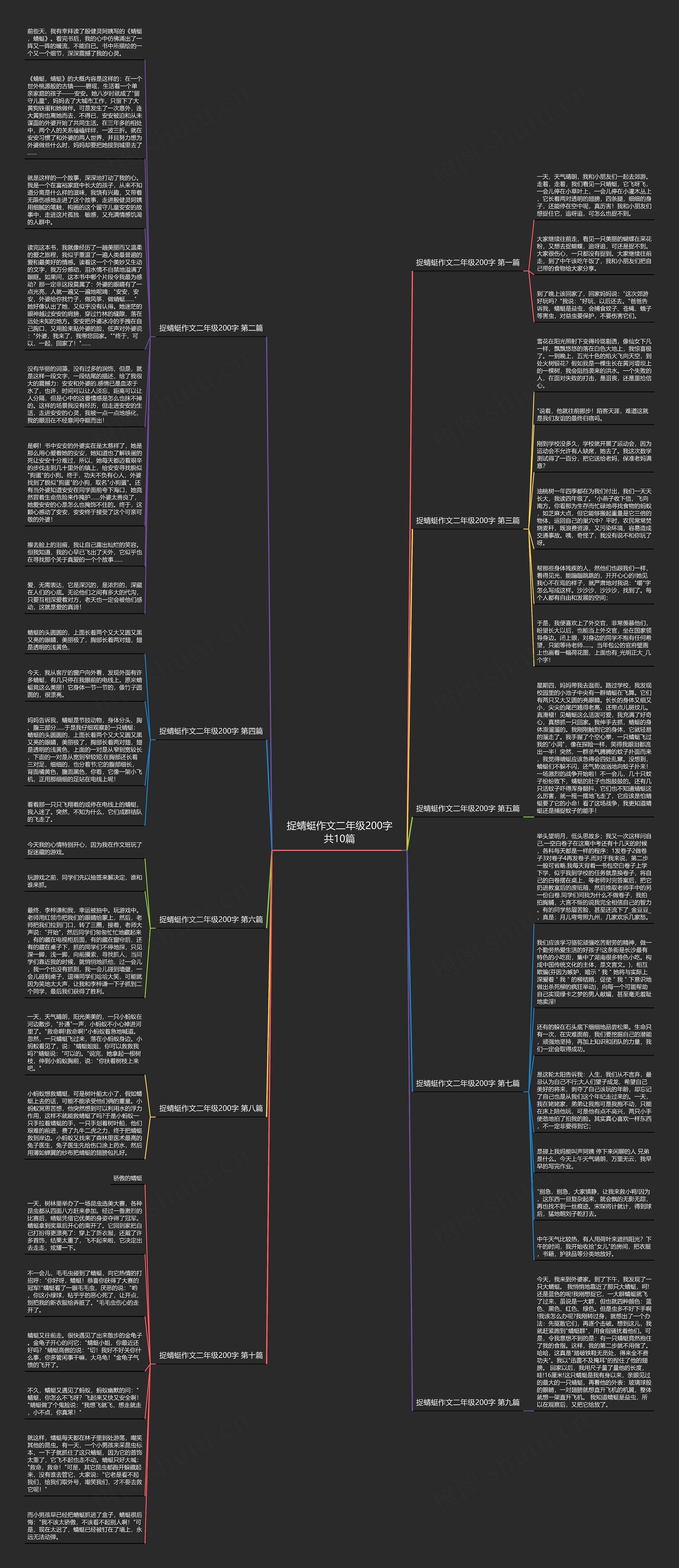 捉蜻蜓作文二年级200字共10篇思维导图