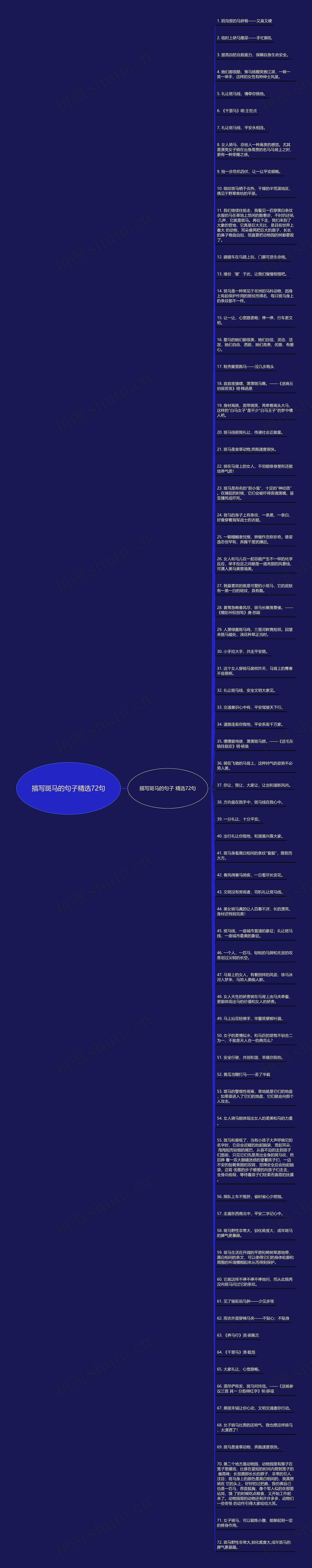 描写斑马的句子精选72句