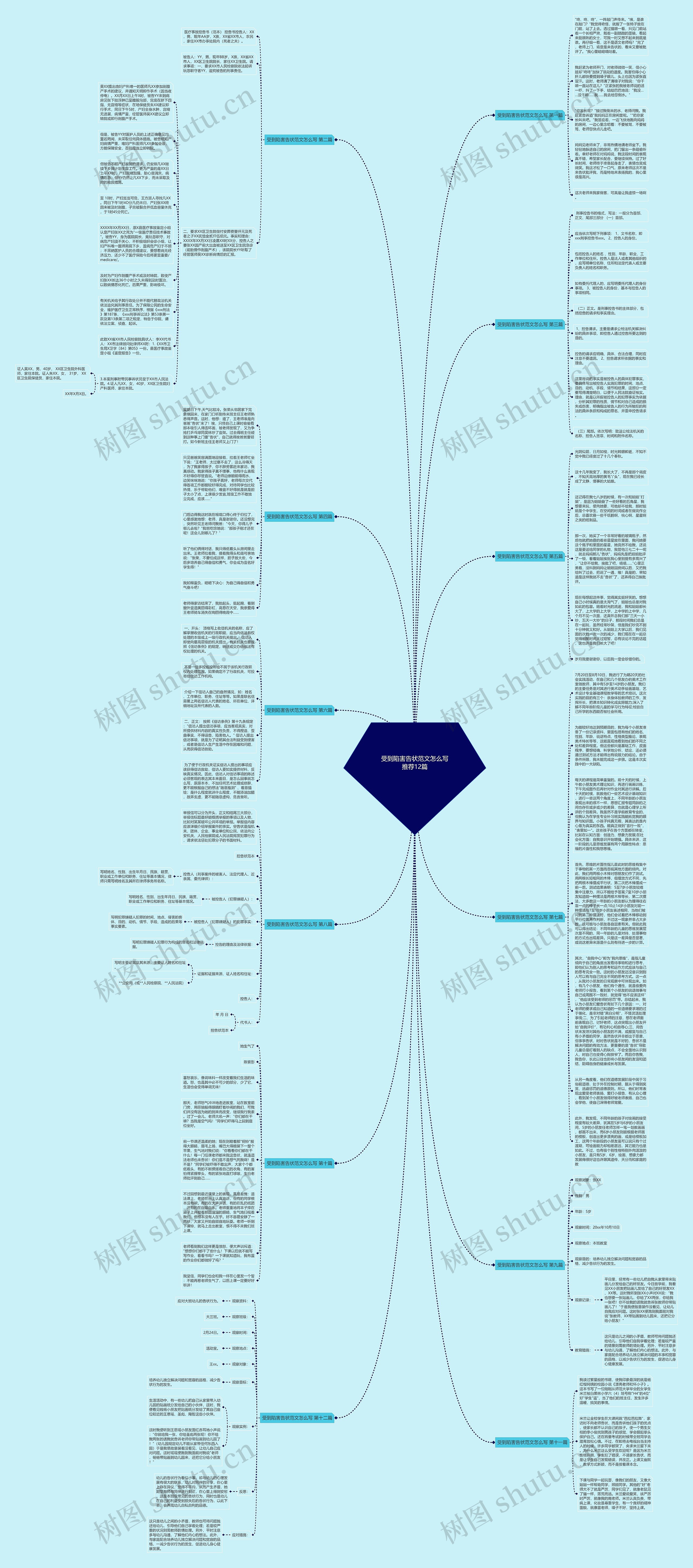 受到陷害告状范文怎么写推荐12篇思维导图