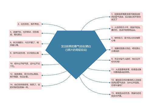 发自拍照的霸气说说(晒自己照片的简短说说)